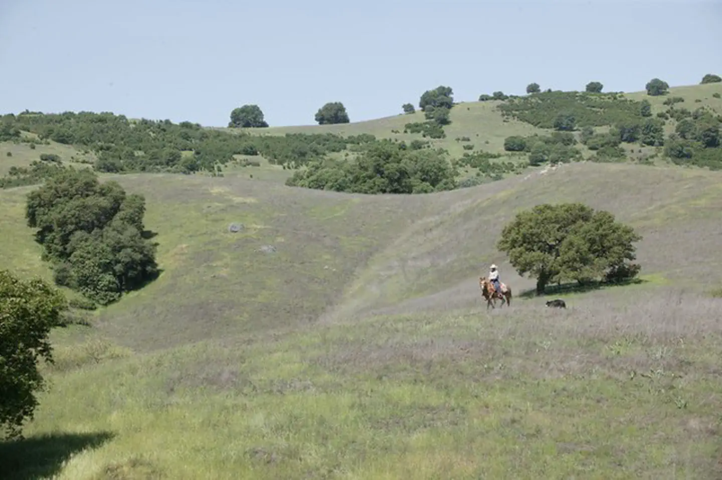 Cronan Ranch Trailhead photo 2