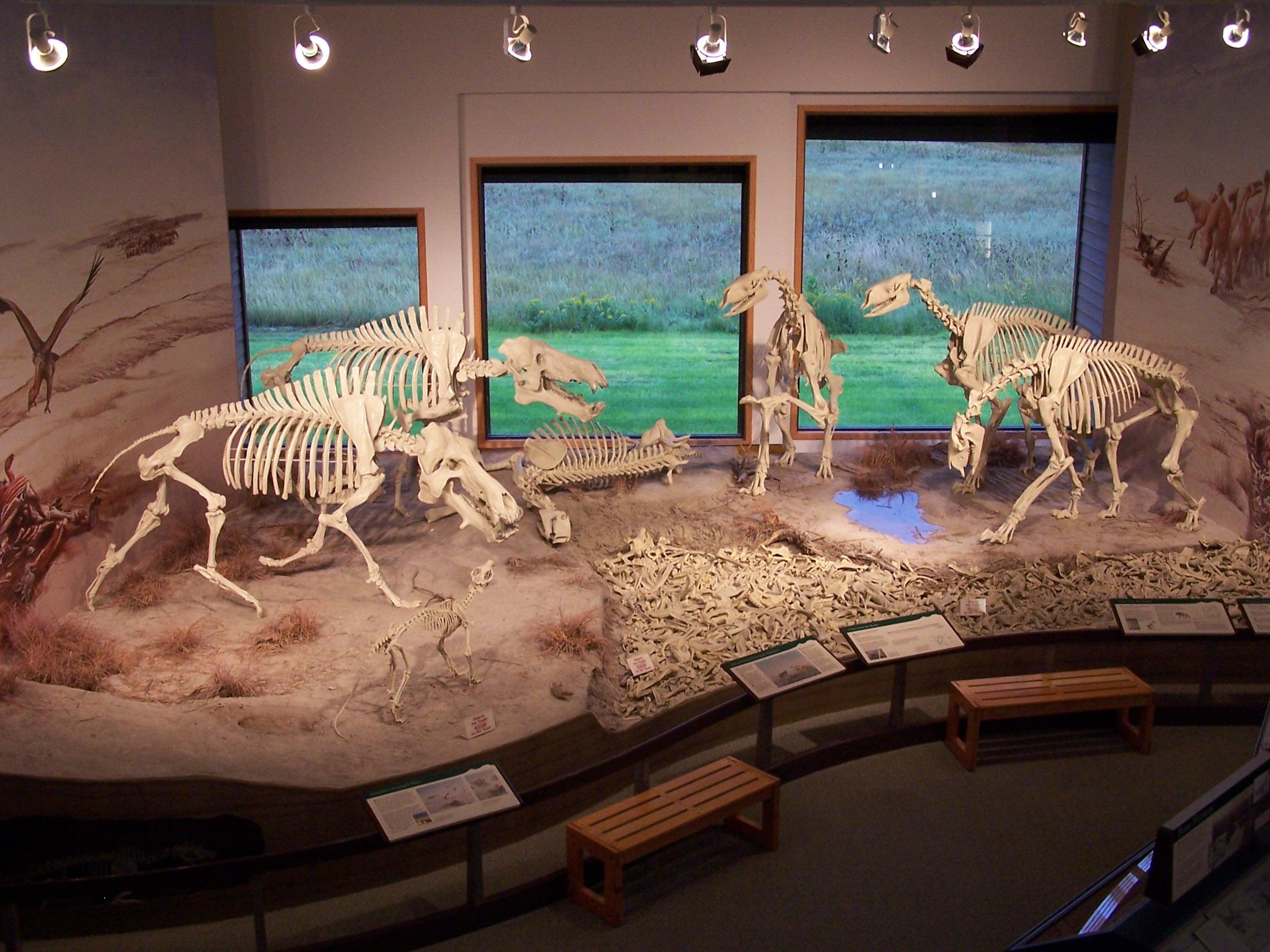 Agate Fossil Beds National Monument Visitor Center photo 3