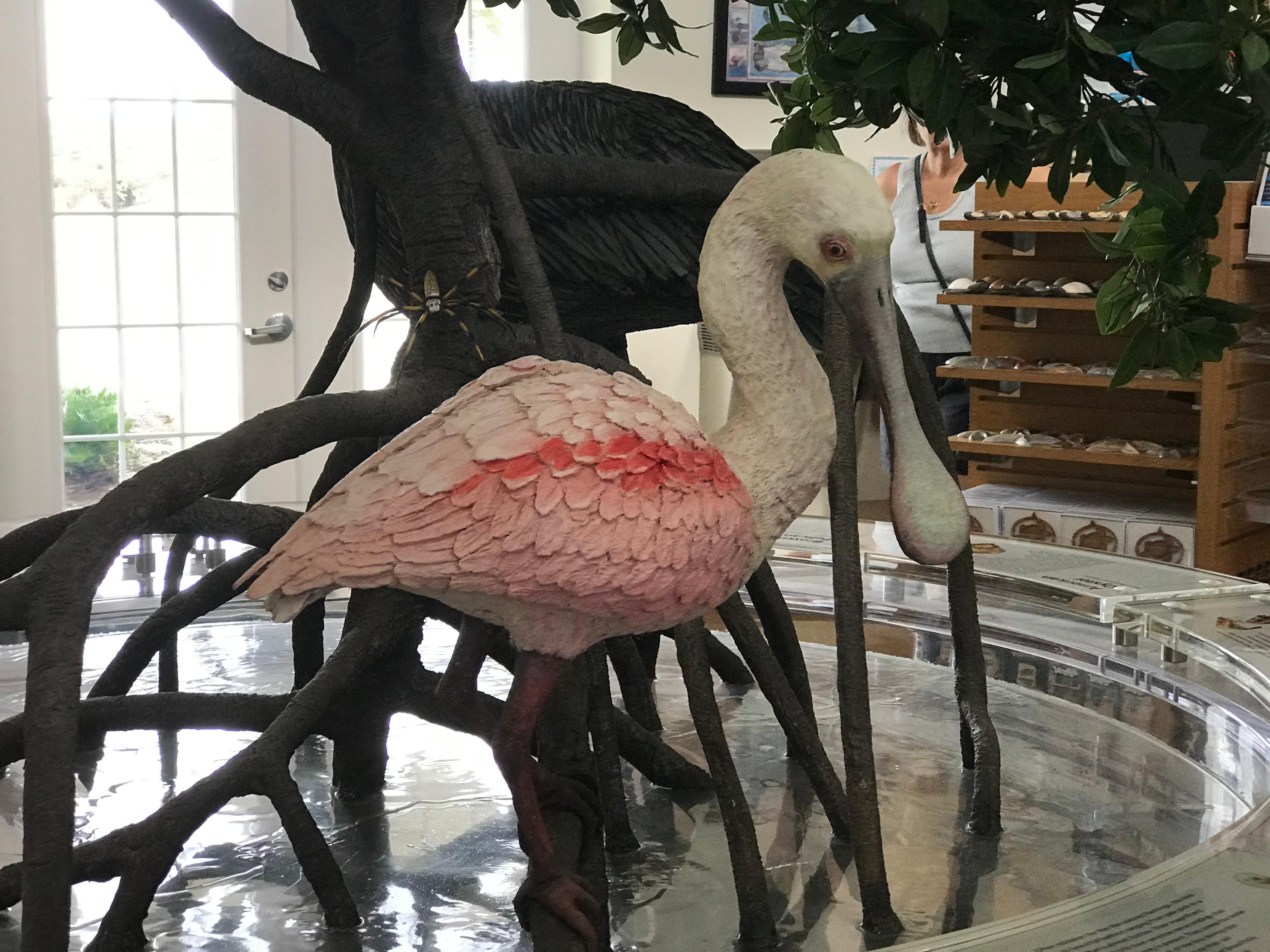Apollo Beach Visitor Center photo 3