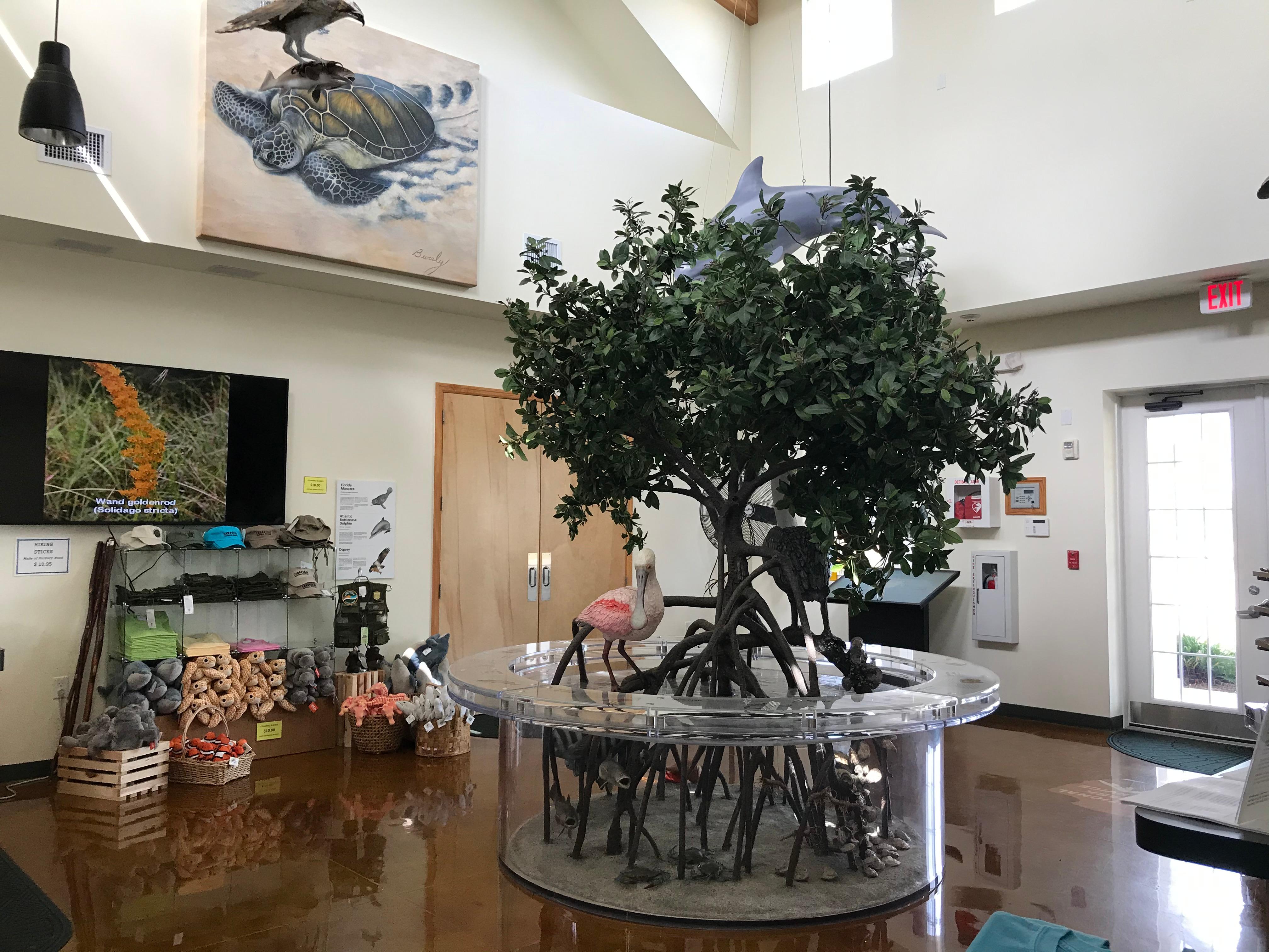 Apollo Beach Visitor Center photo 4