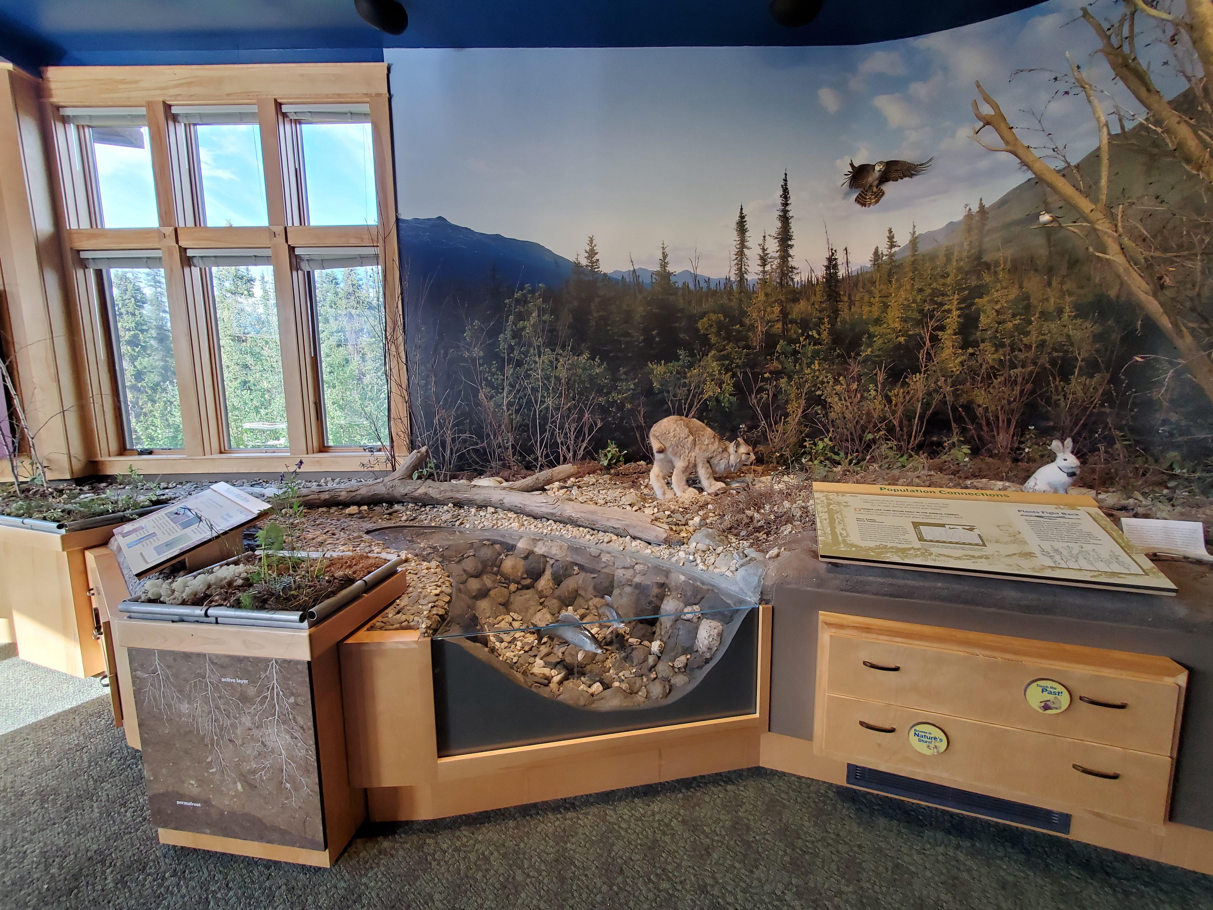 Arctic Interagency Visitor Center photo 4