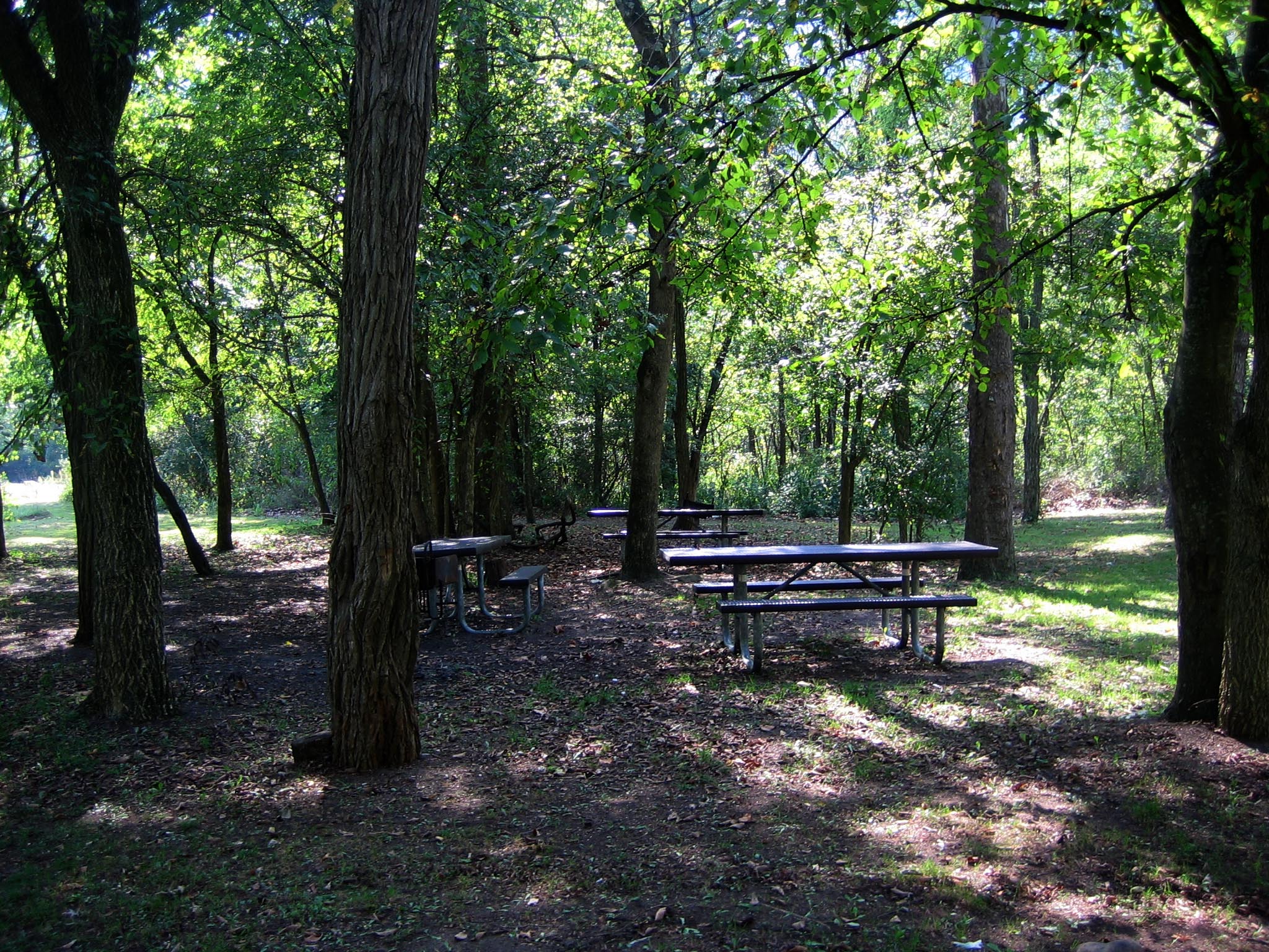 Army Camp photo 3