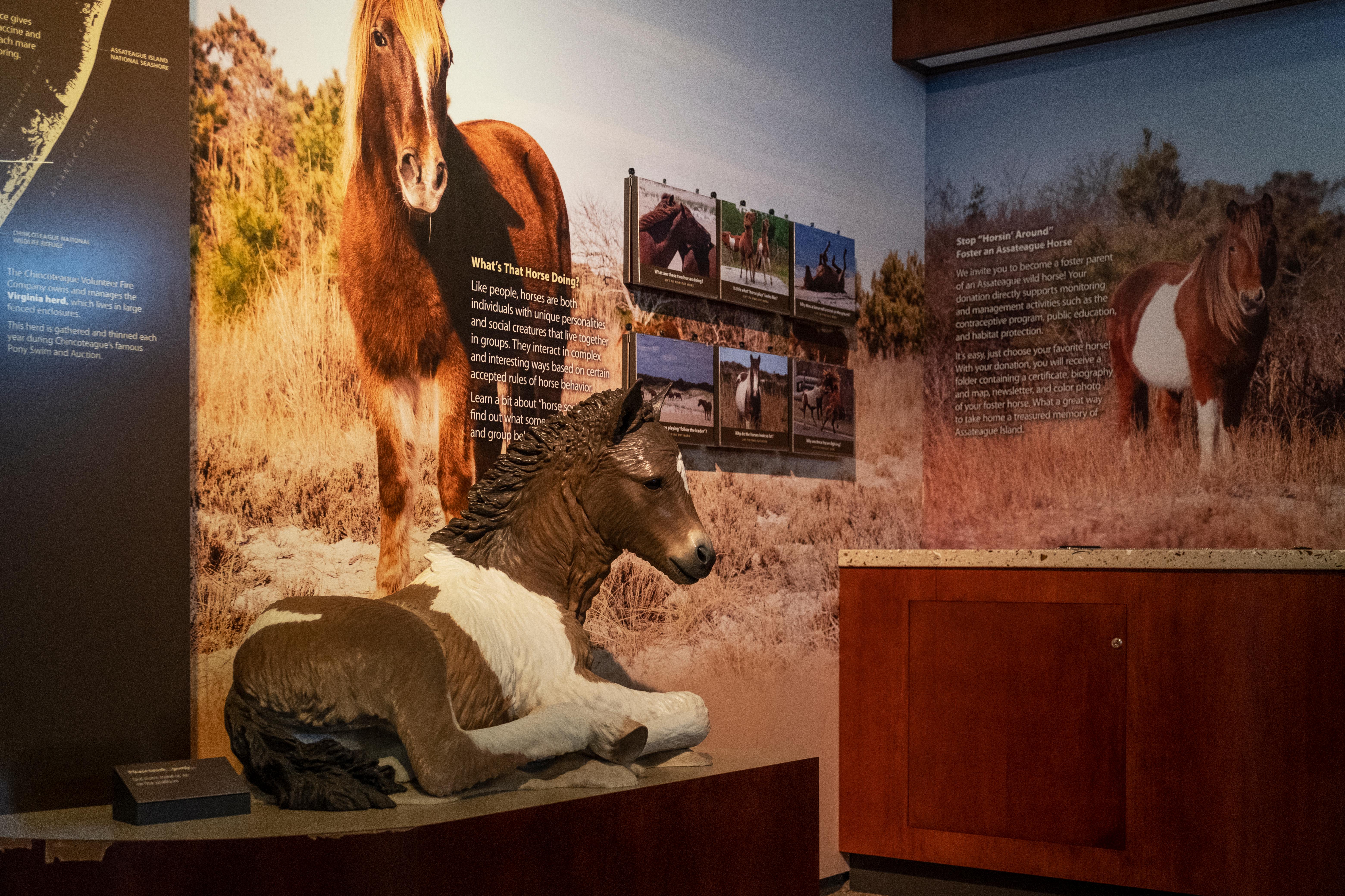 Assateague Island Visitor Center photo 4
