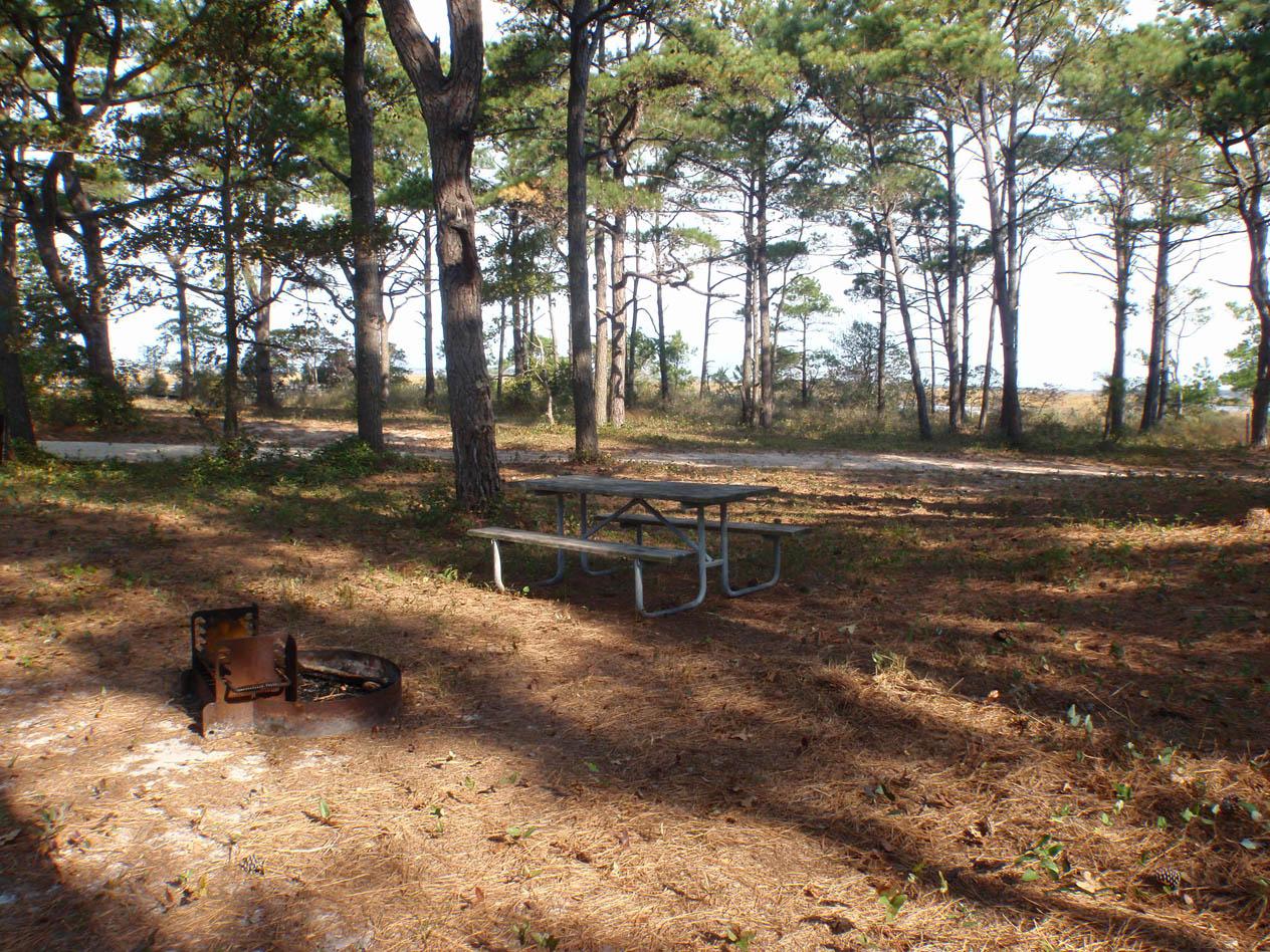 Back Country Camping - Tingles Island photo