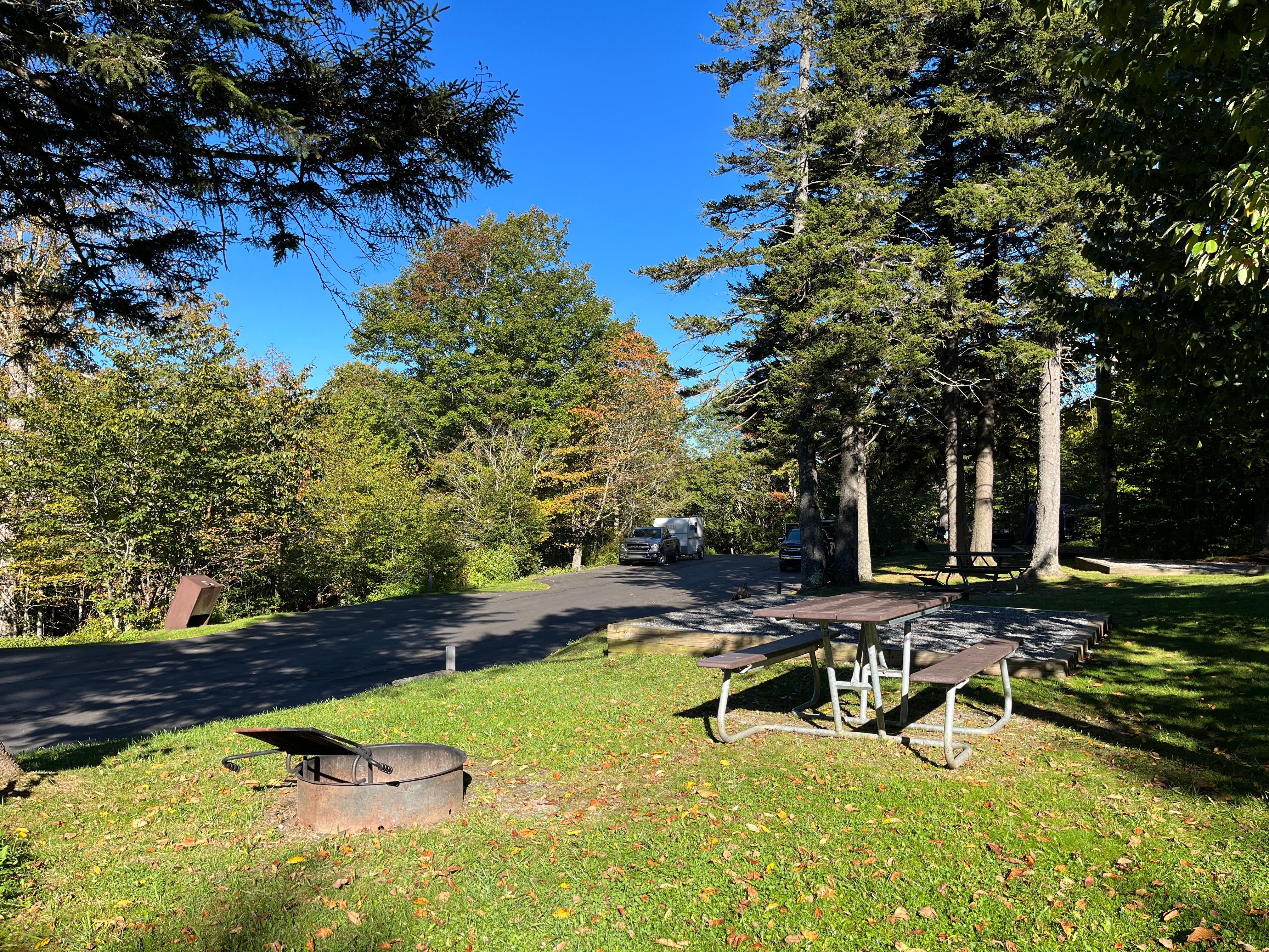 Balsam Mt. Campground photo