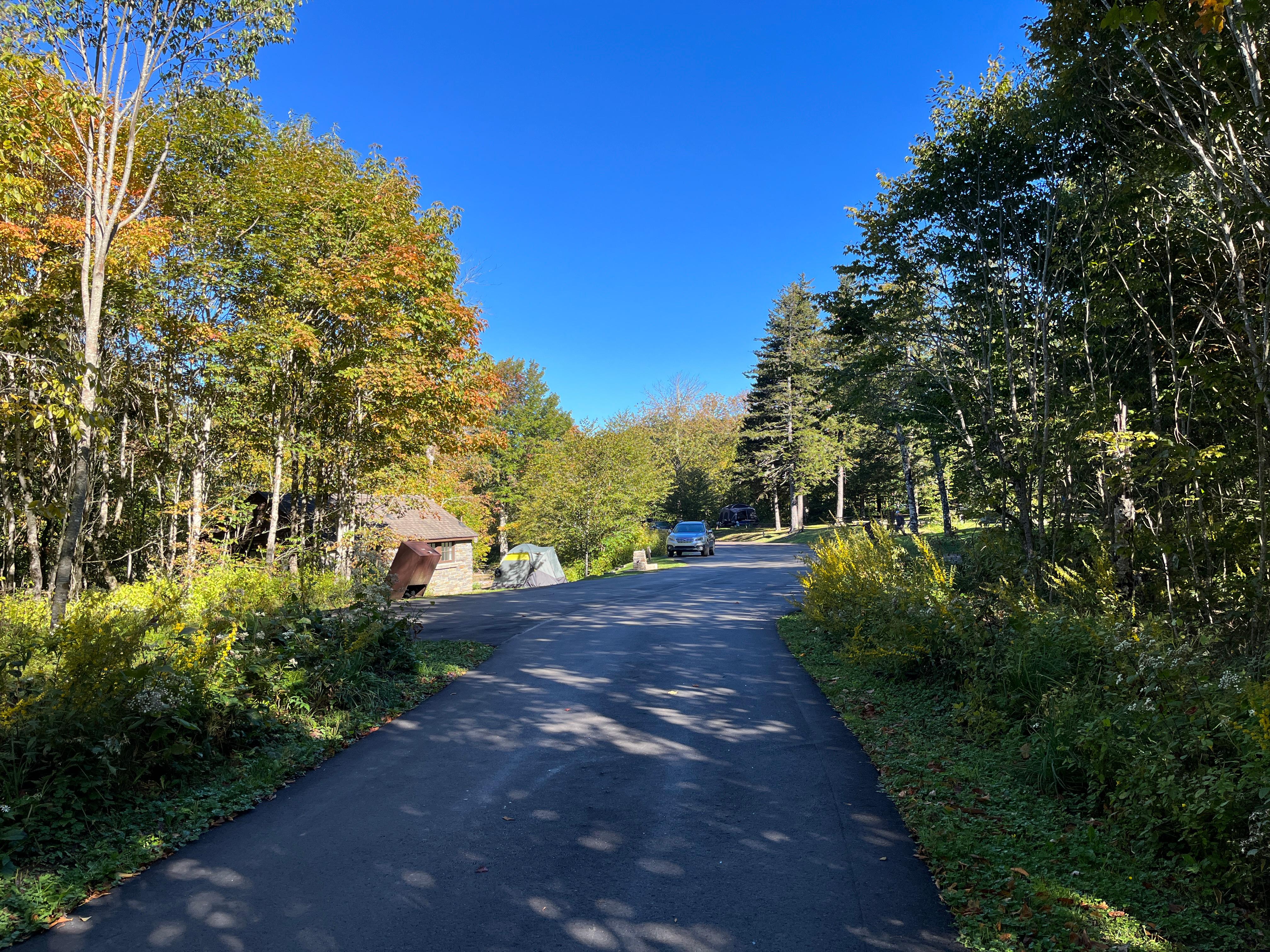 Balsam Mt. Campground photo 3
