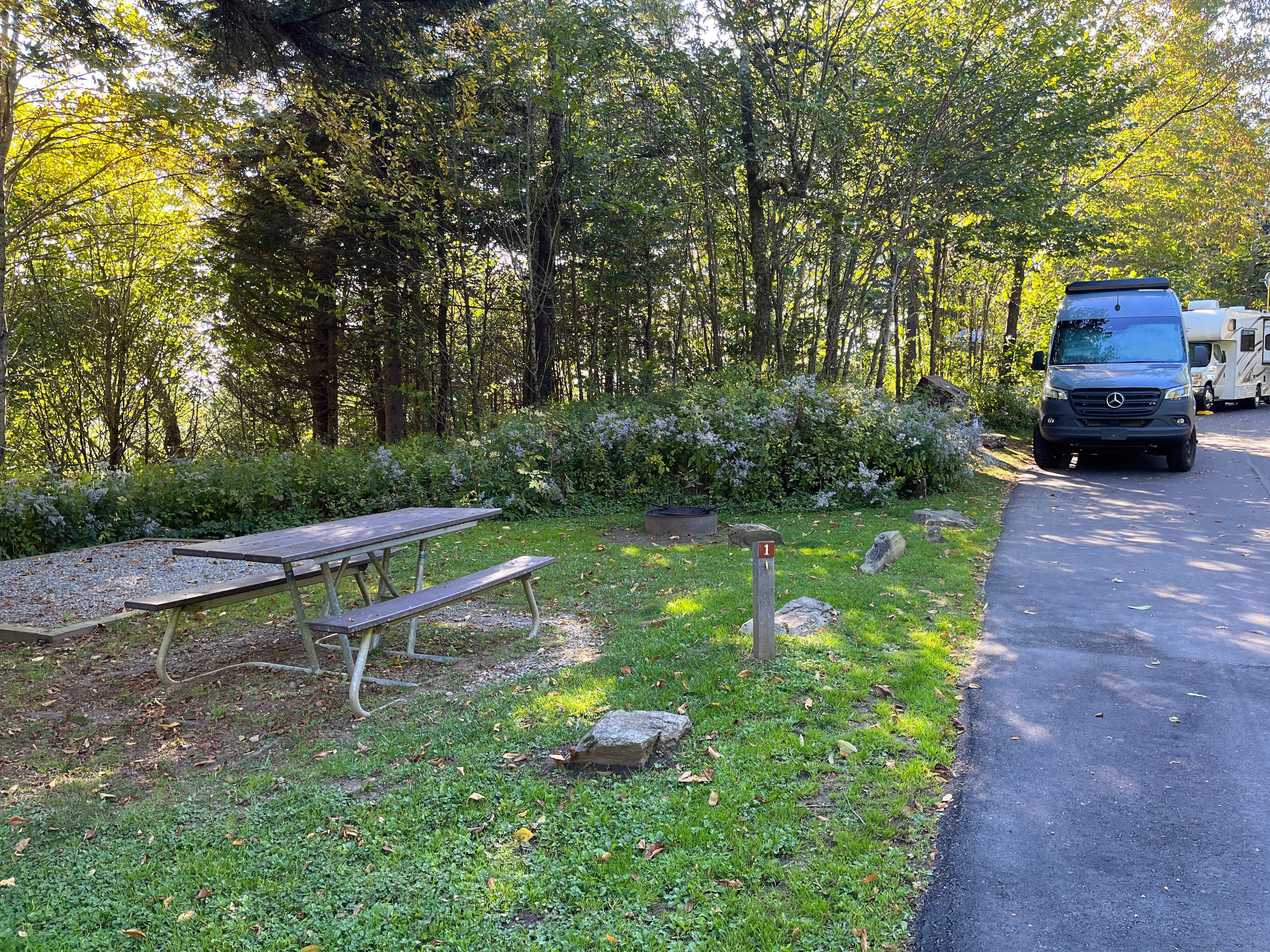 Balsam Mt. Campground photo 5