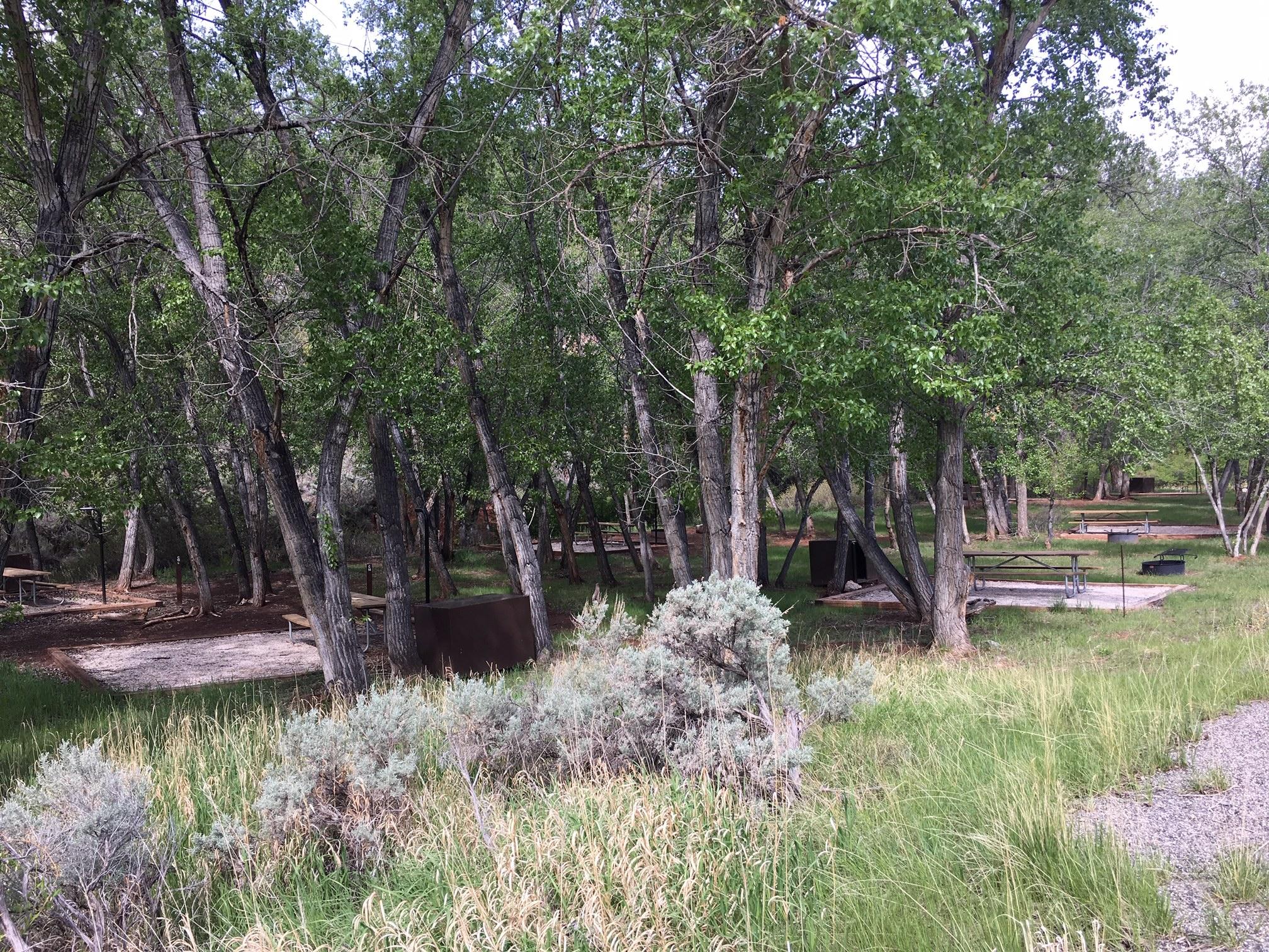 Barry's Landing & Trail Creek Campground photo