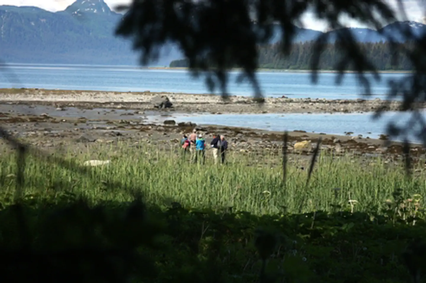 Bartlett Cove Campground photo 3