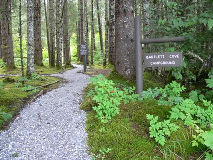 Bartlett Cove Campground photo 4