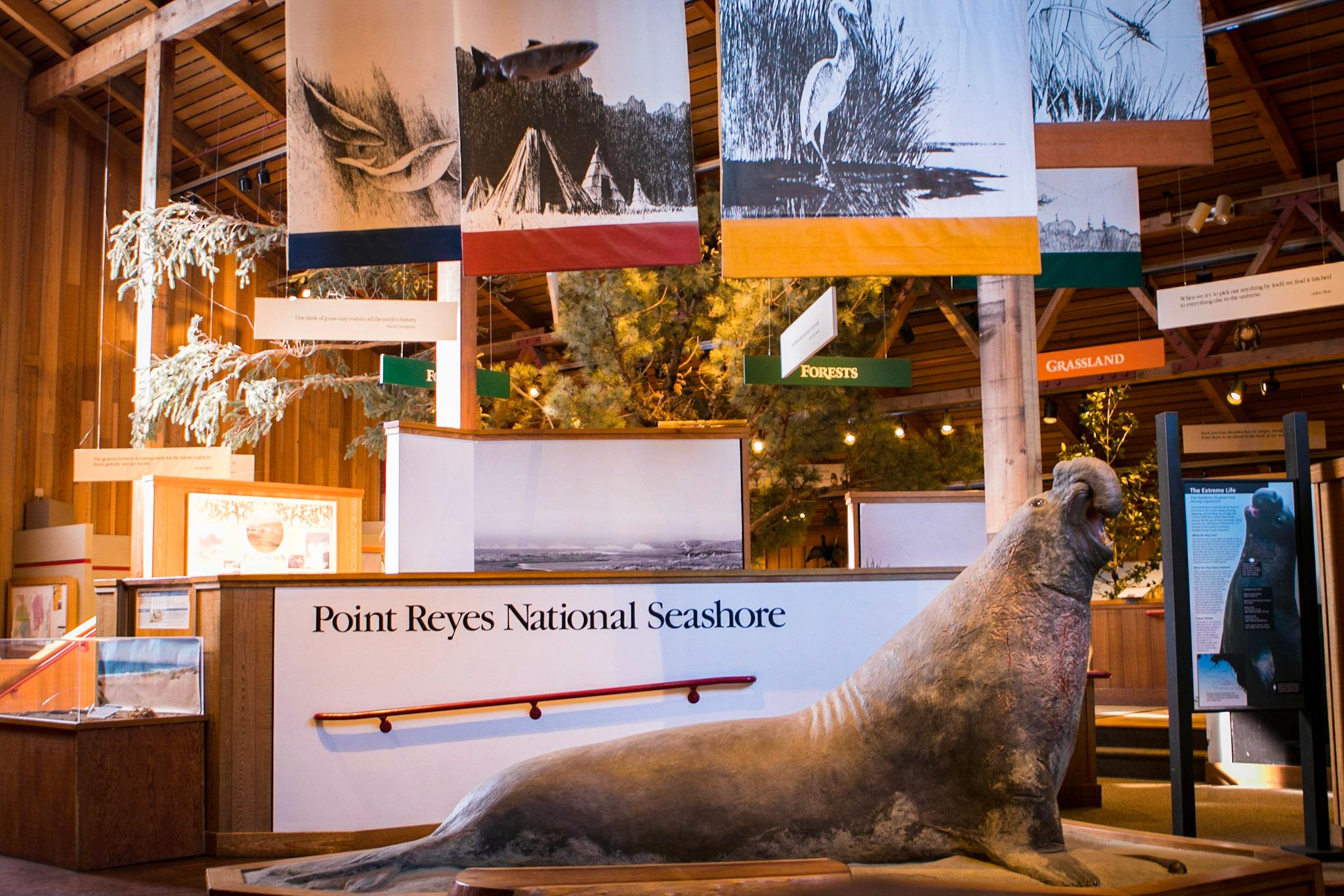 Bear Valley Visitor Center photo