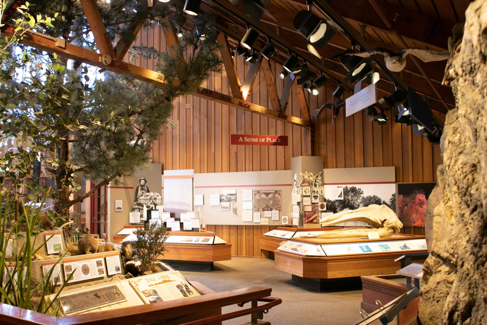 Bear Valley Visitor Center photo 3