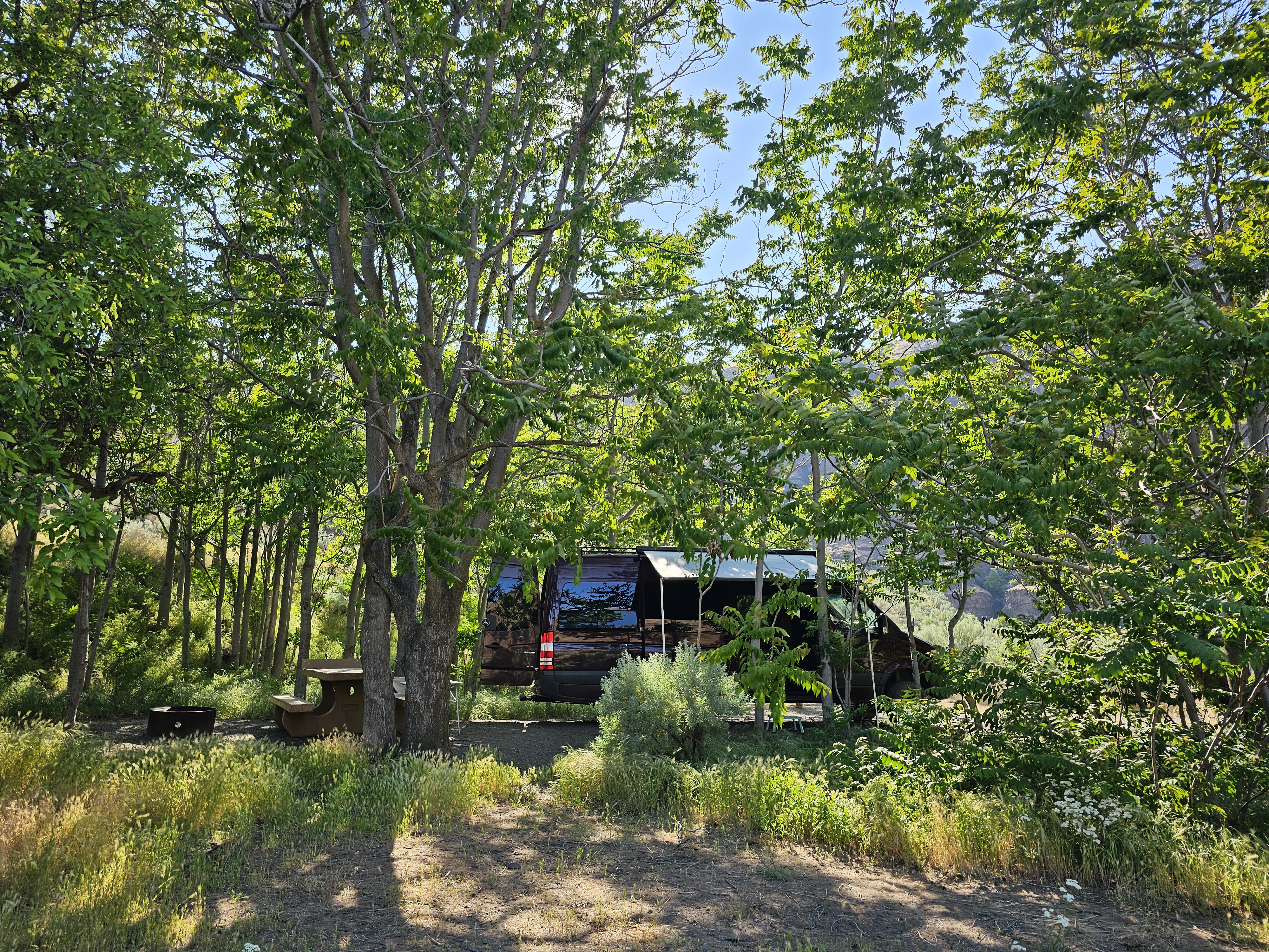 Beavertail Campground photo 3