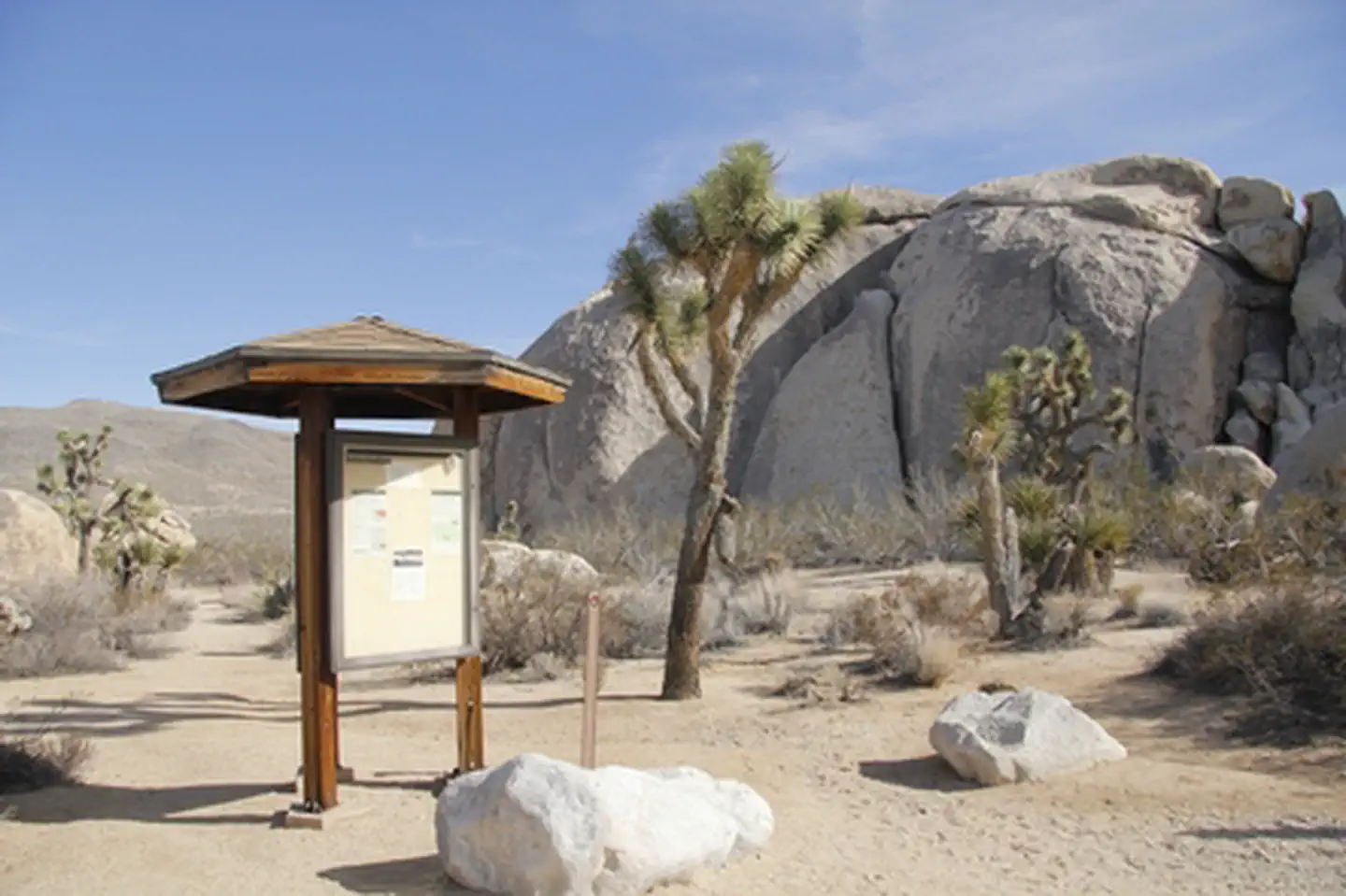 Belle Campground photo