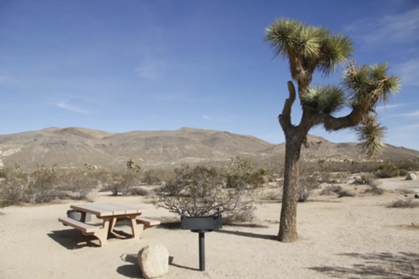 Belle Campground photo 2