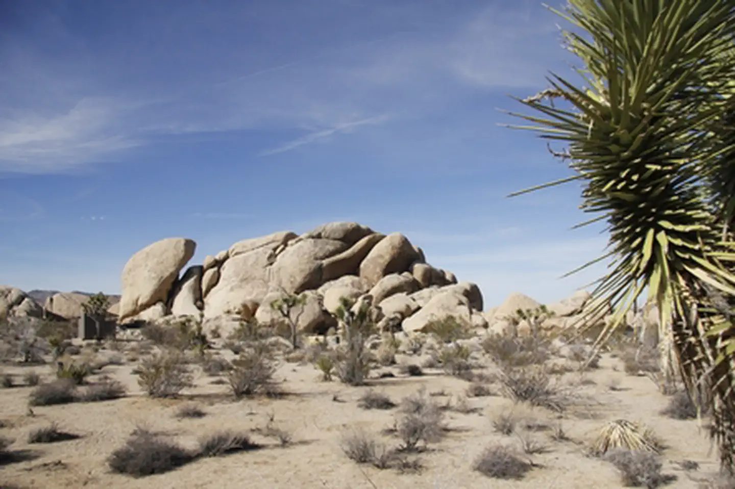 Belle Campground photo 5