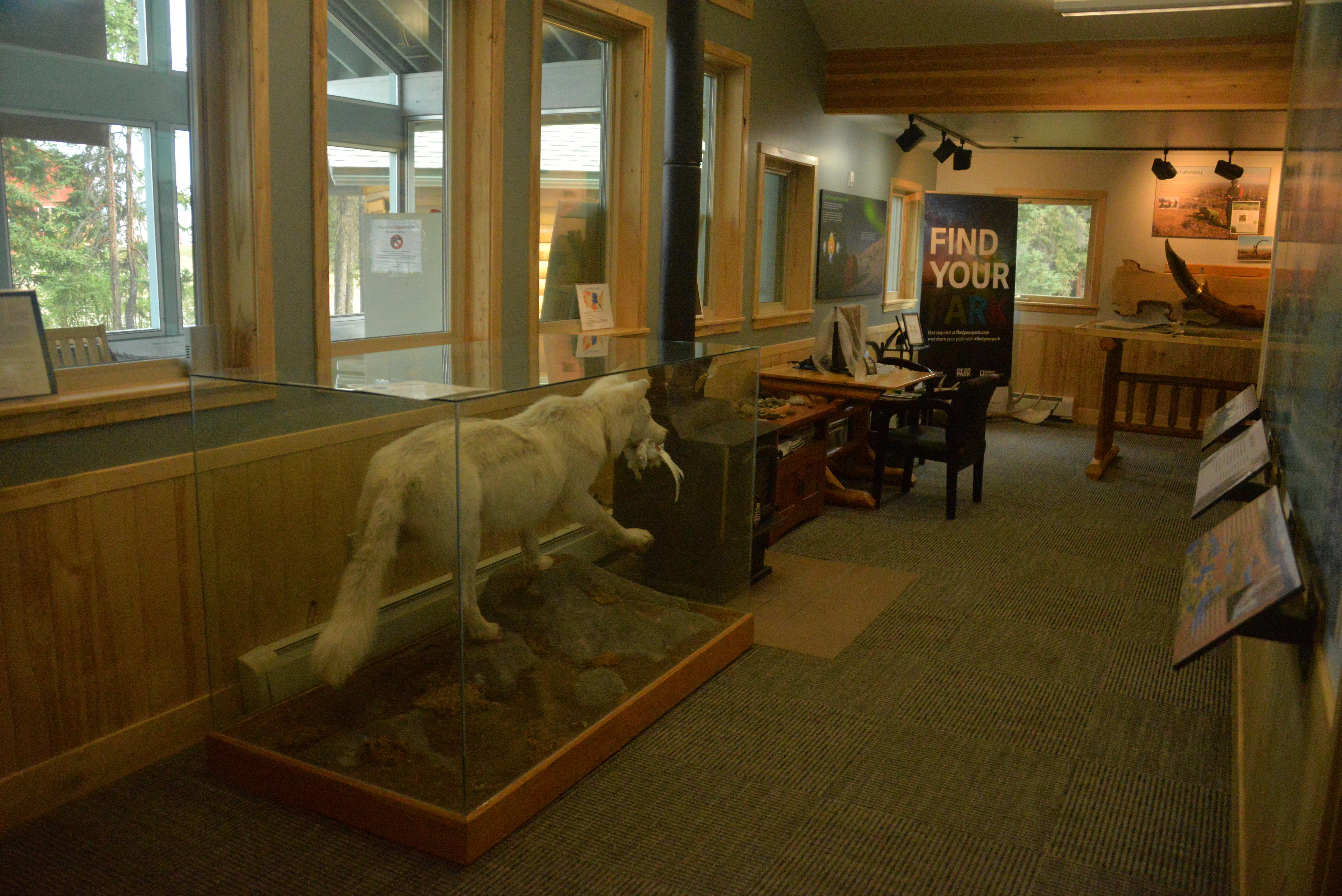 Bettles Ranger Station and Visitor Center photo 5
