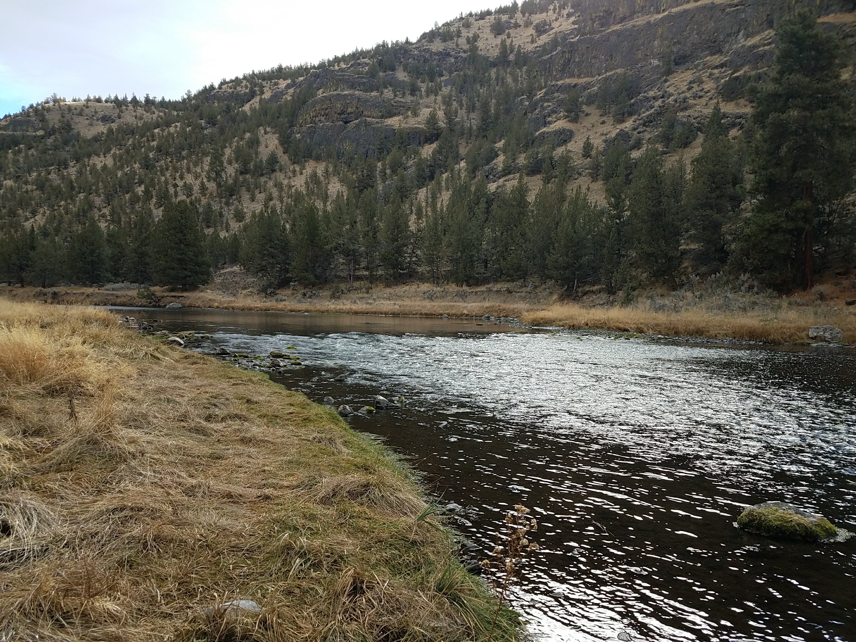 Big Bend Campground (Crooked River) photo