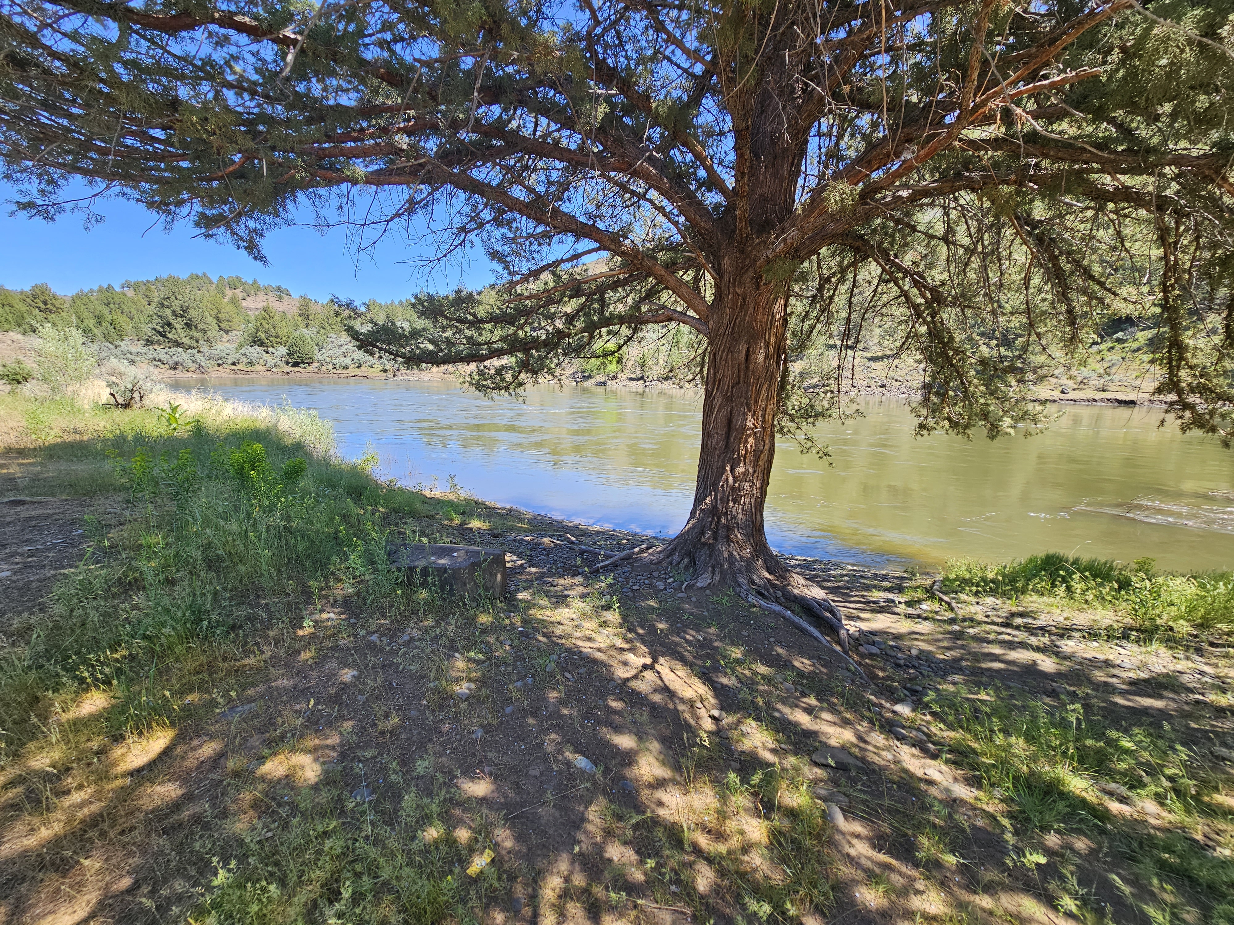Big Bend Campground (John Day River) photo