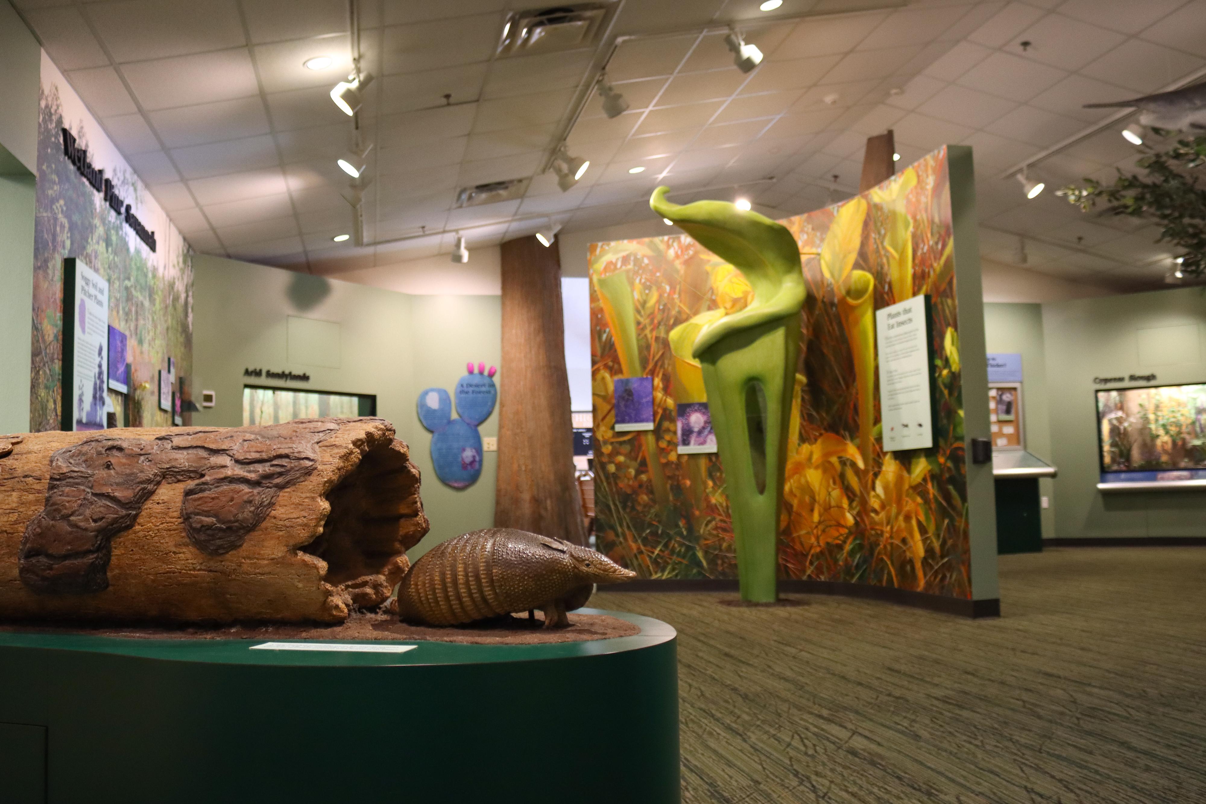 Big Thicket Visitor Center photo 3