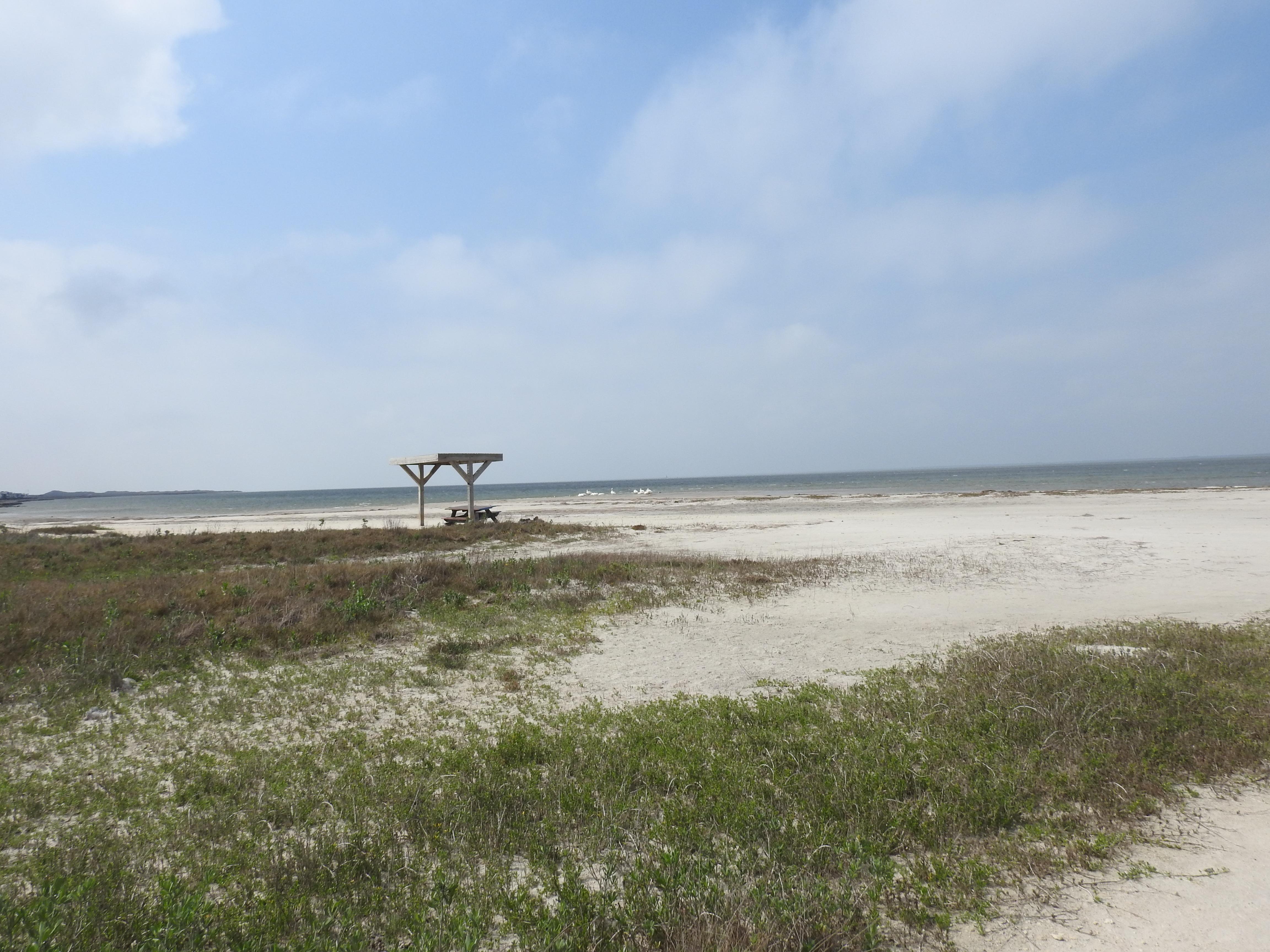 Bird Island Basin Campground photo 5