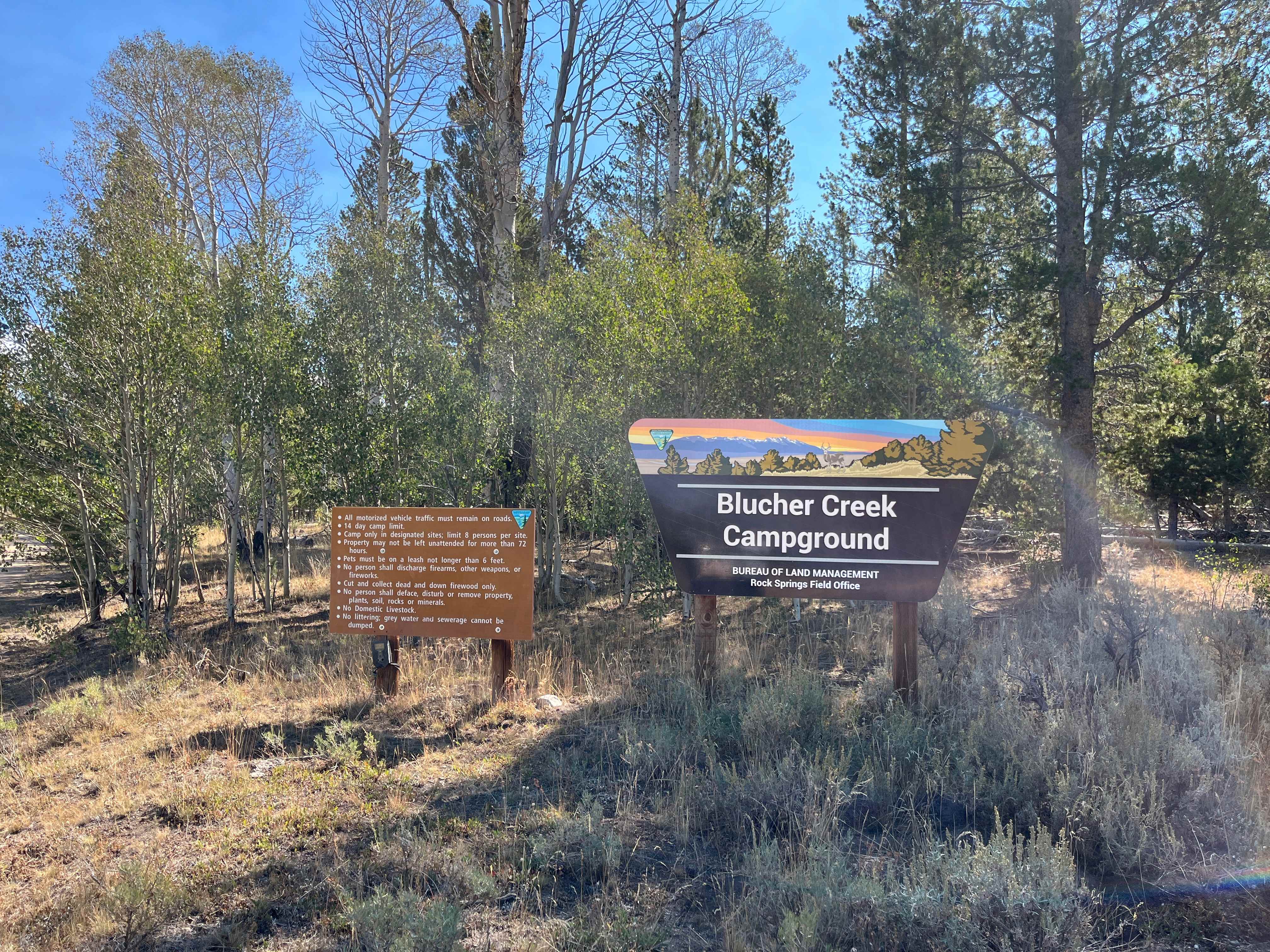 Blucher Creek Campground photo 2