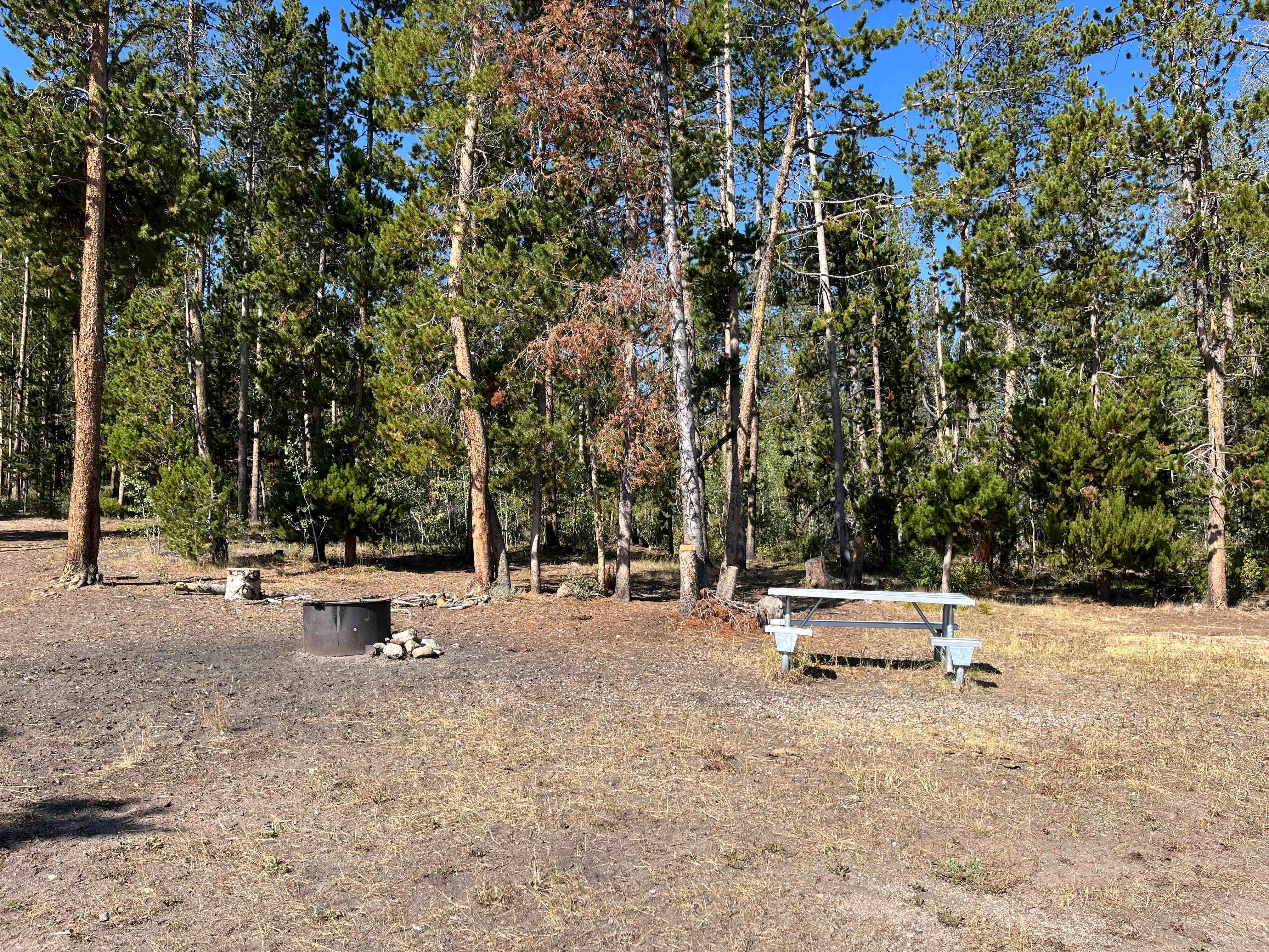 Blucher Creek Campground photo 4