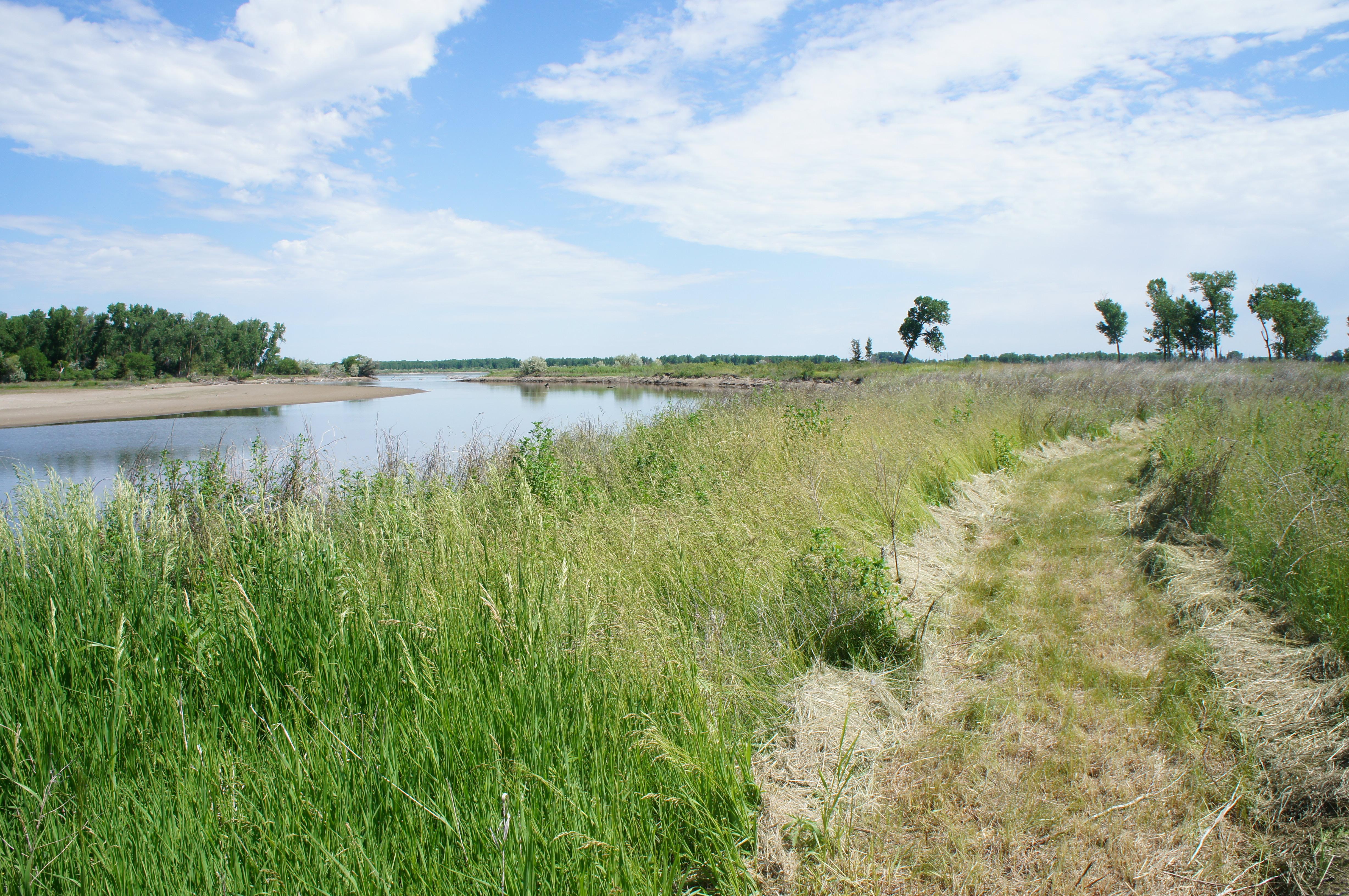 Bow Creek Primitive Camping photo
