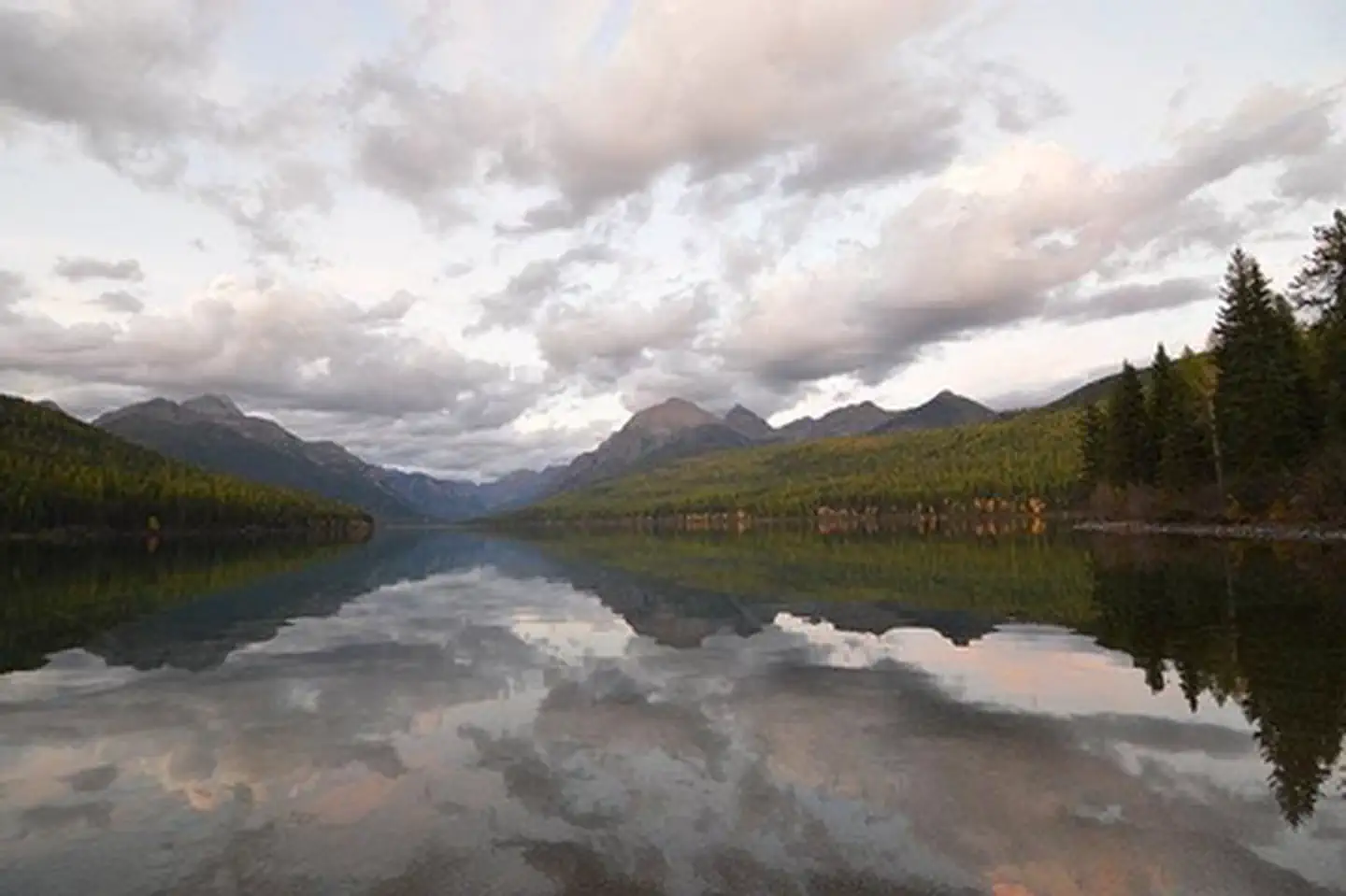 Bowman Lake photo 2