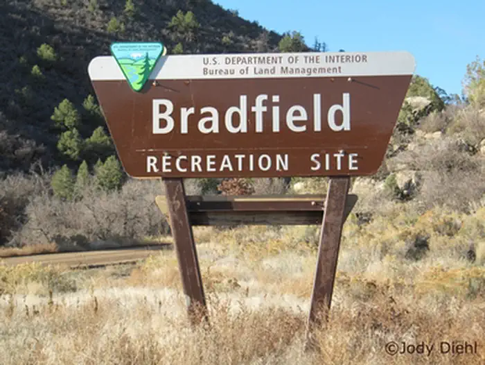 Bradfield Recreation Site photo