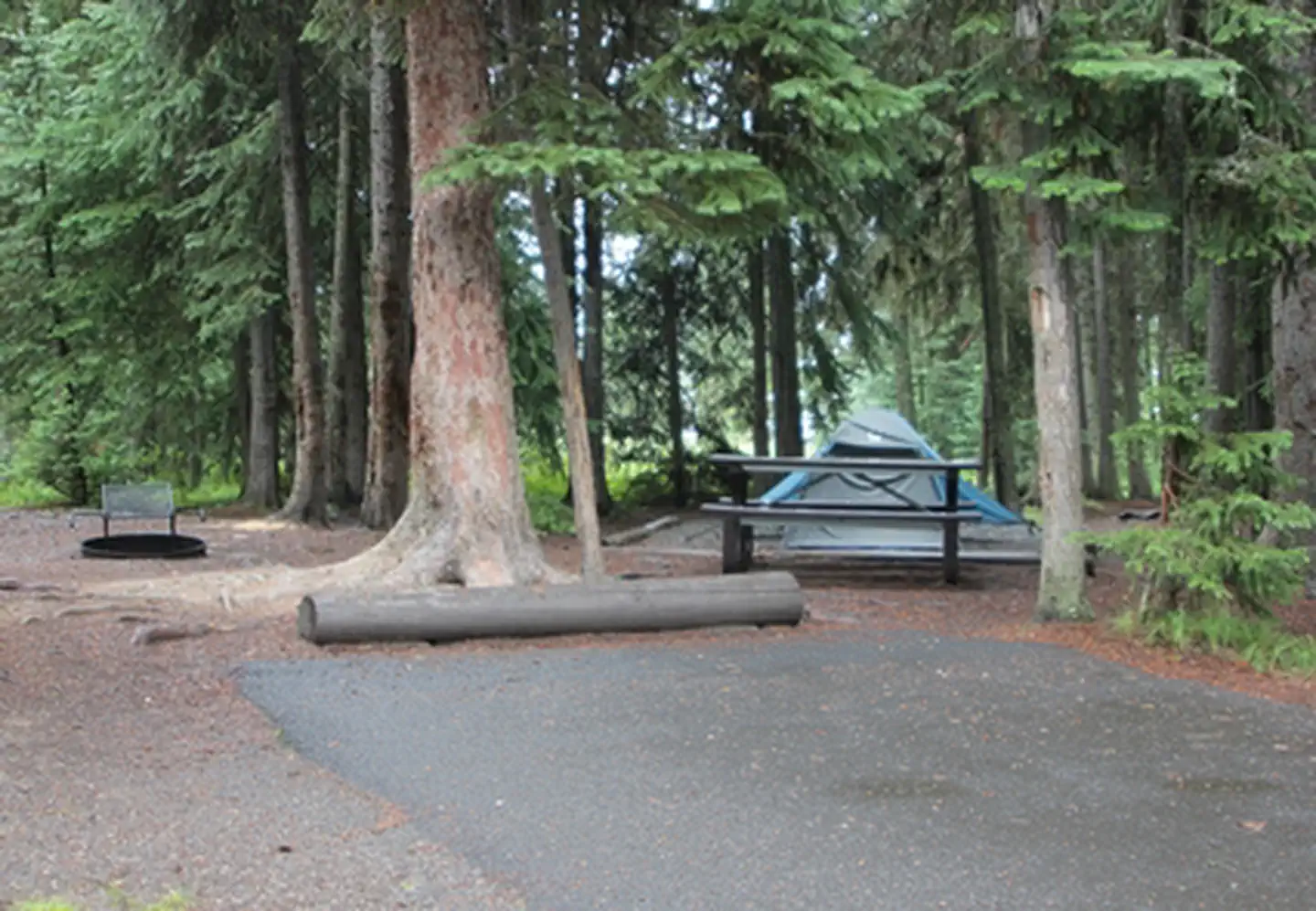 Bridge Bay Campground photo