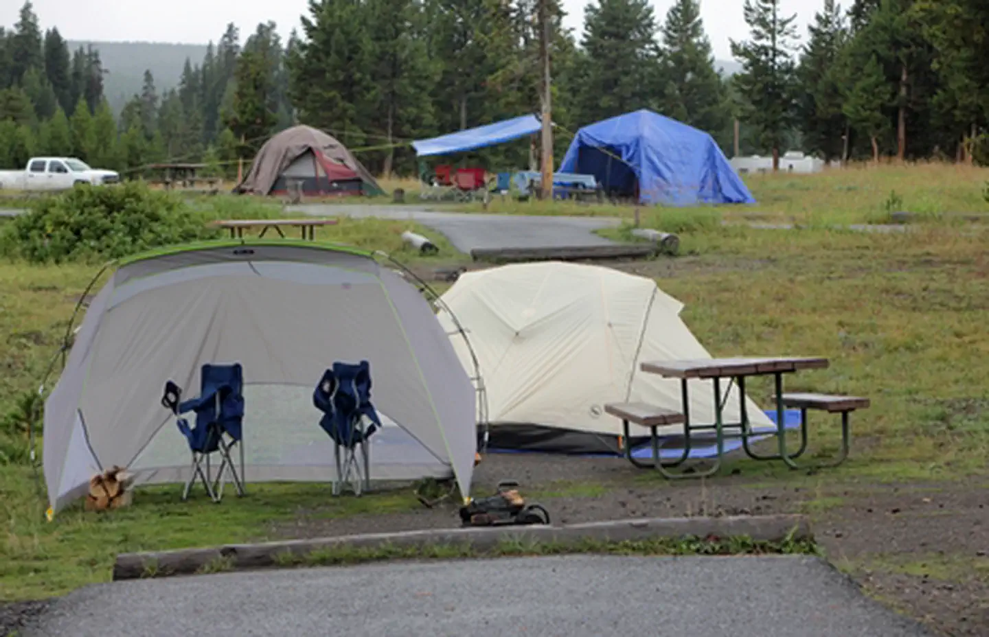 Bridge Bay Campground photo 3