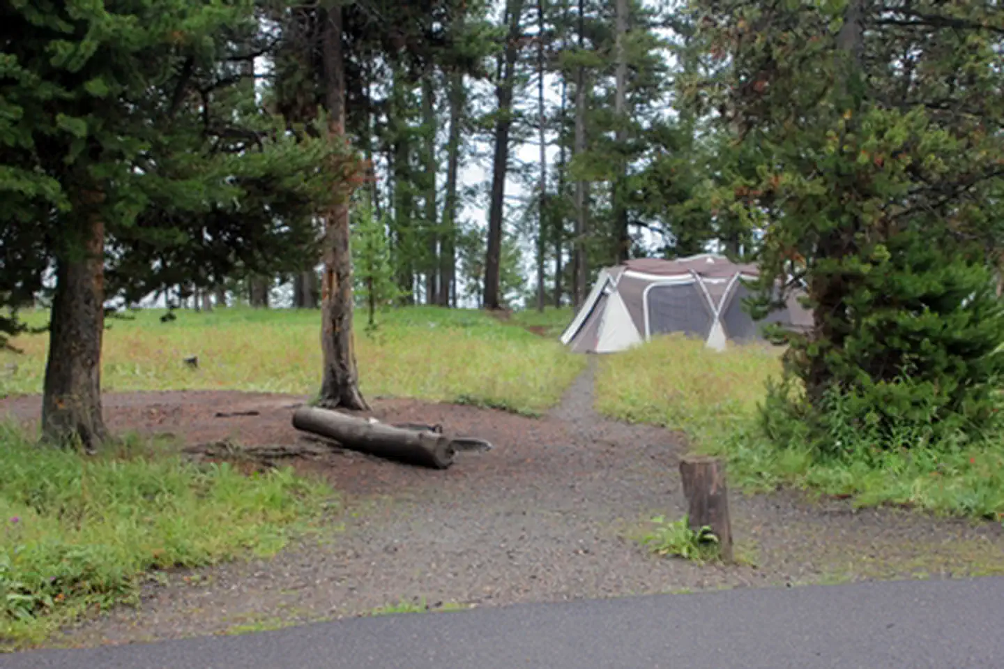 Bridge Bay Campground photo 5