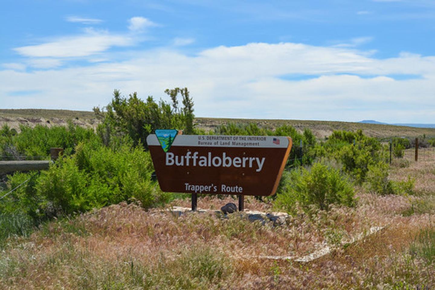 Buffaloberry Campground photo