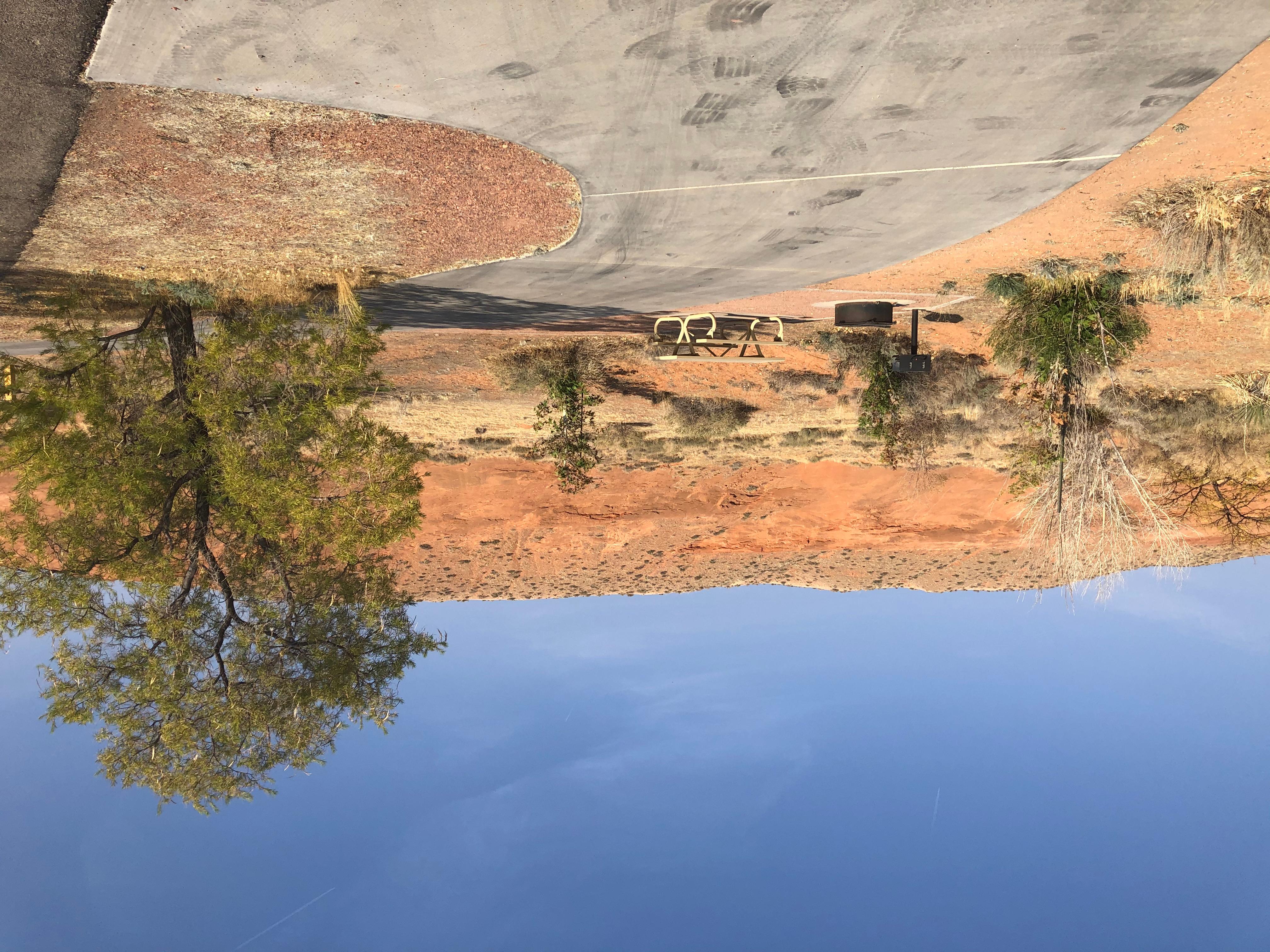 Bullfrog RV & Campground photo 2