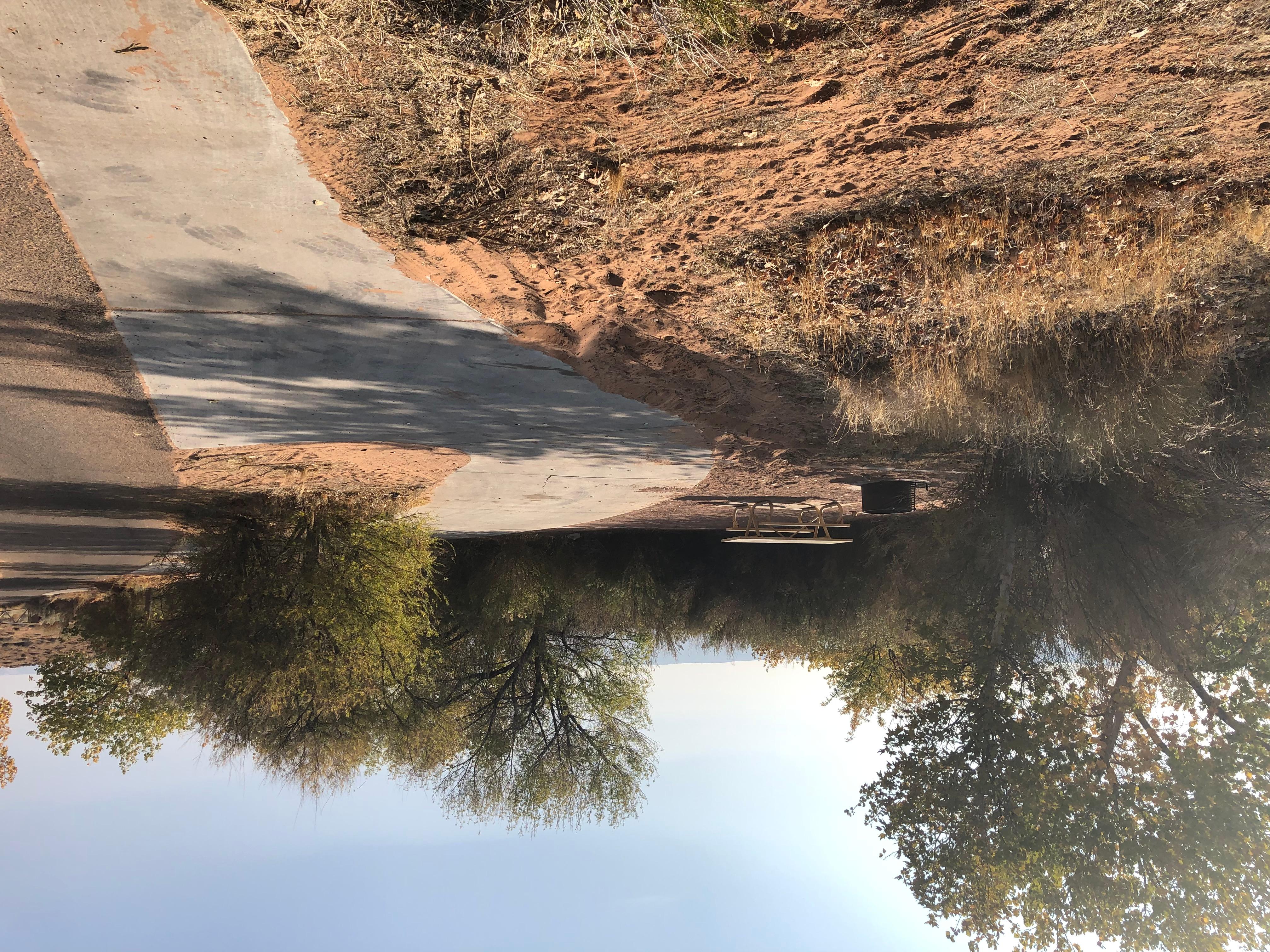 Bullfrog RV & Campground photo 3