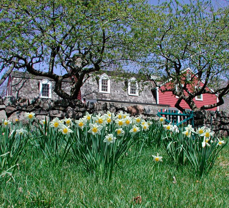 Burlingham House Visitor Center photo 5