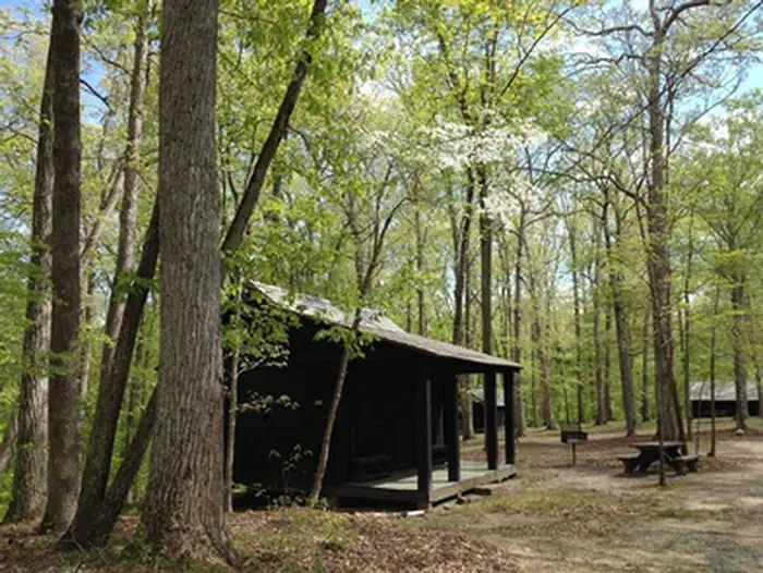 Cabin Camp 1 (By Reservation Only) photo 2