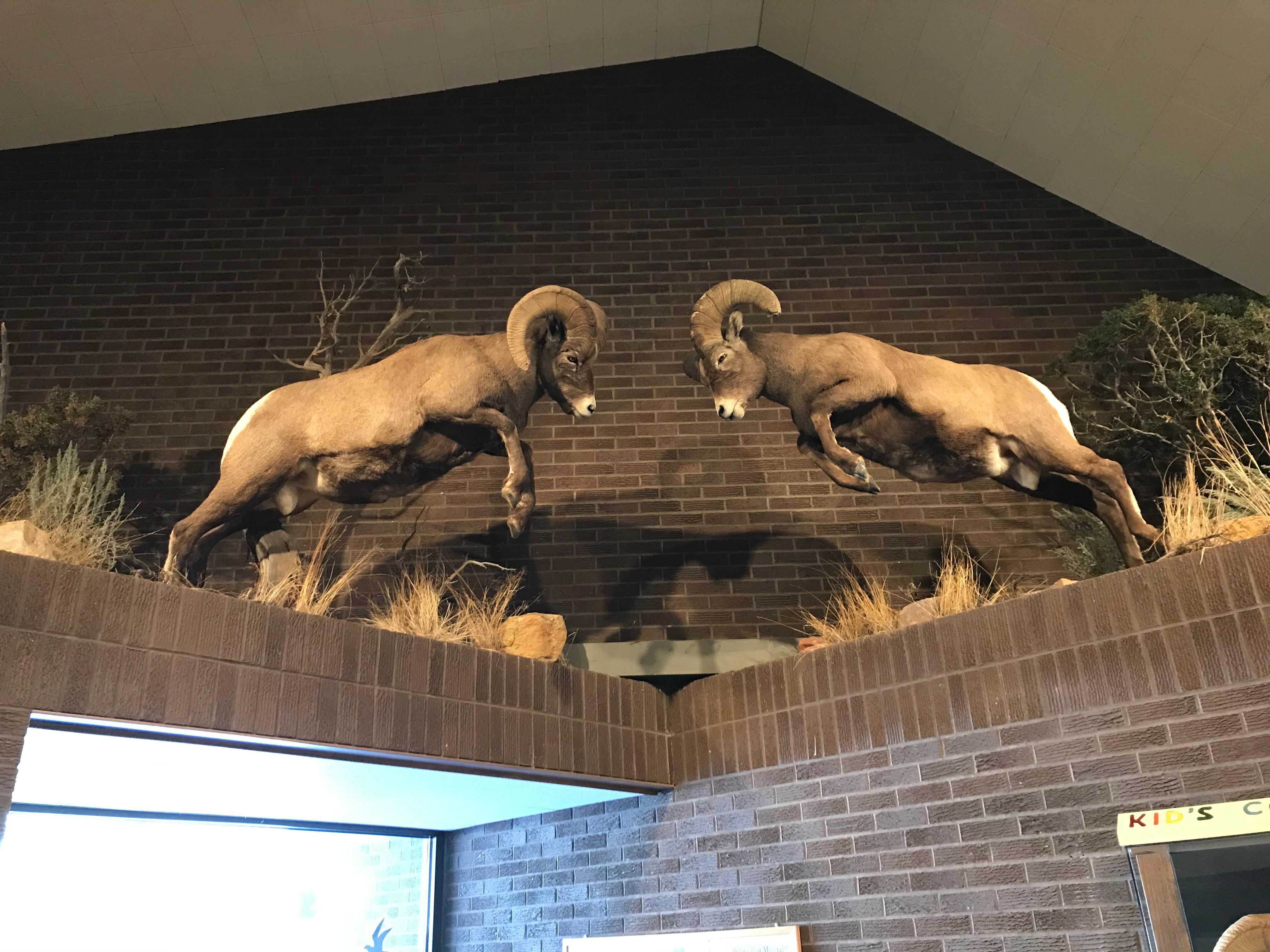 Cal S. Taggart Bighorn Canyon Visitor Center (Lovell, WY) photo