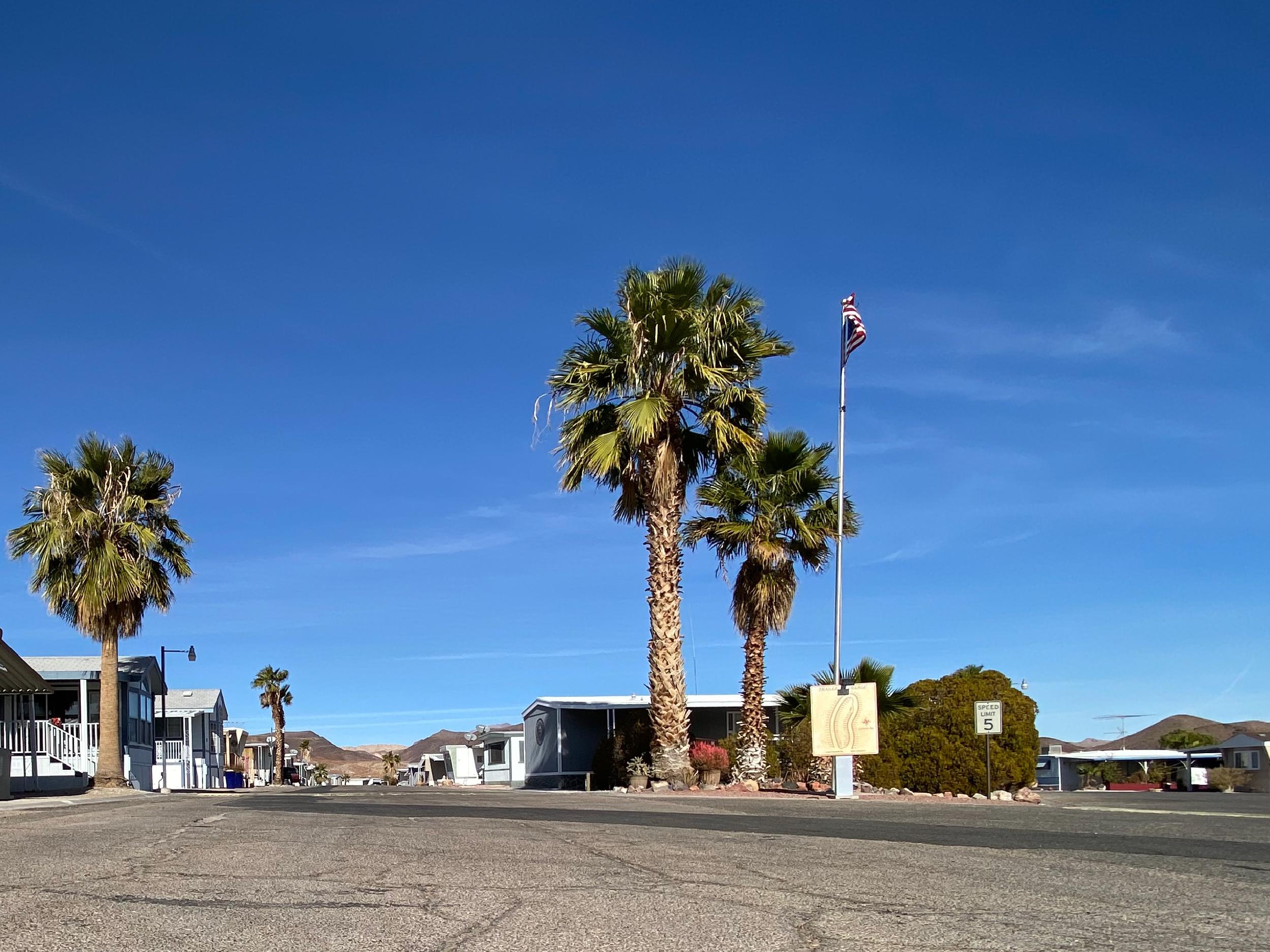 Callville Bay RV Park photo 5