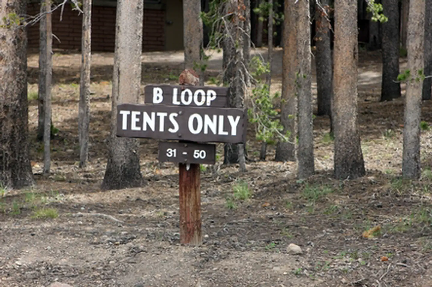 Canyon Campground photo 2