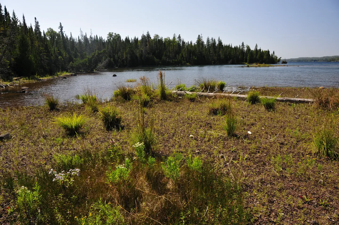 Caribou Island Campground photo 4