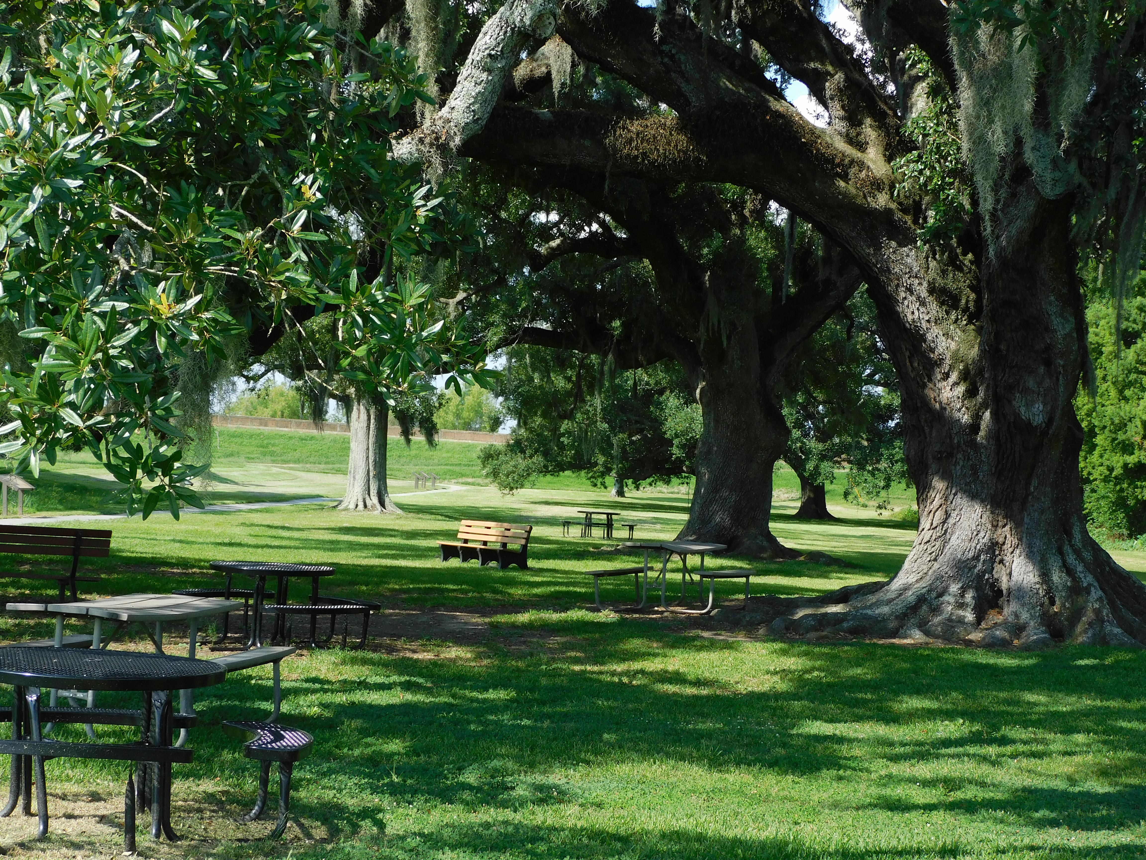 Chalmette Battlefield and Chalmette National Cemetery photo 3