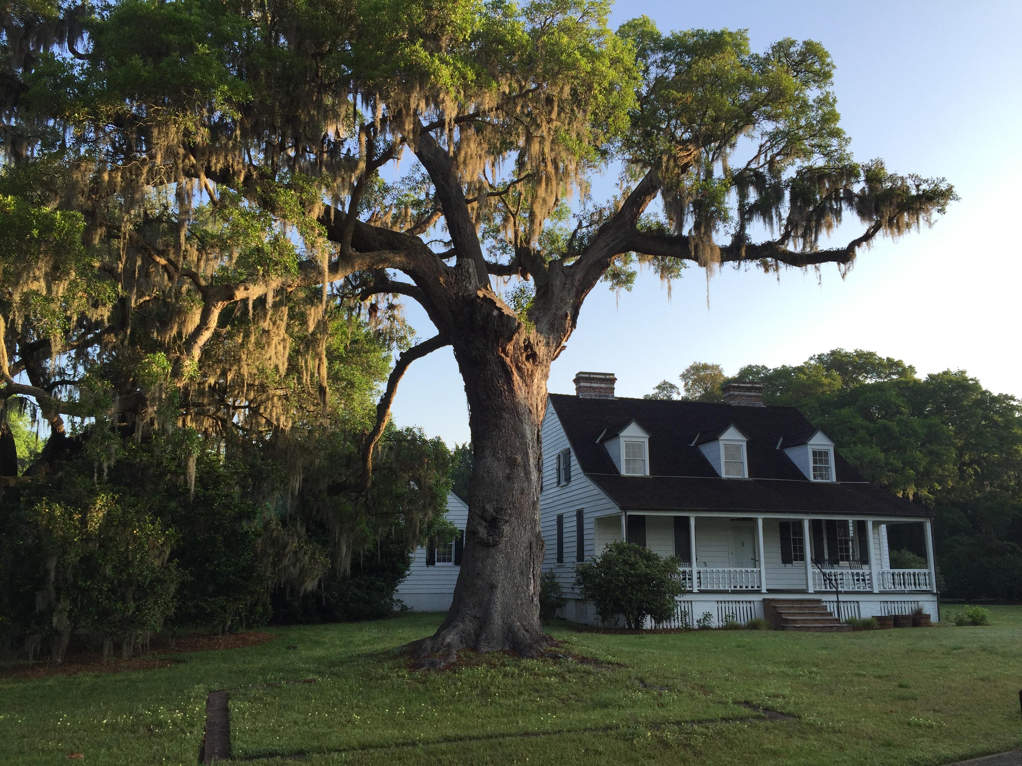 Charles Pinckney National Historic Site Visitor Center photo 2