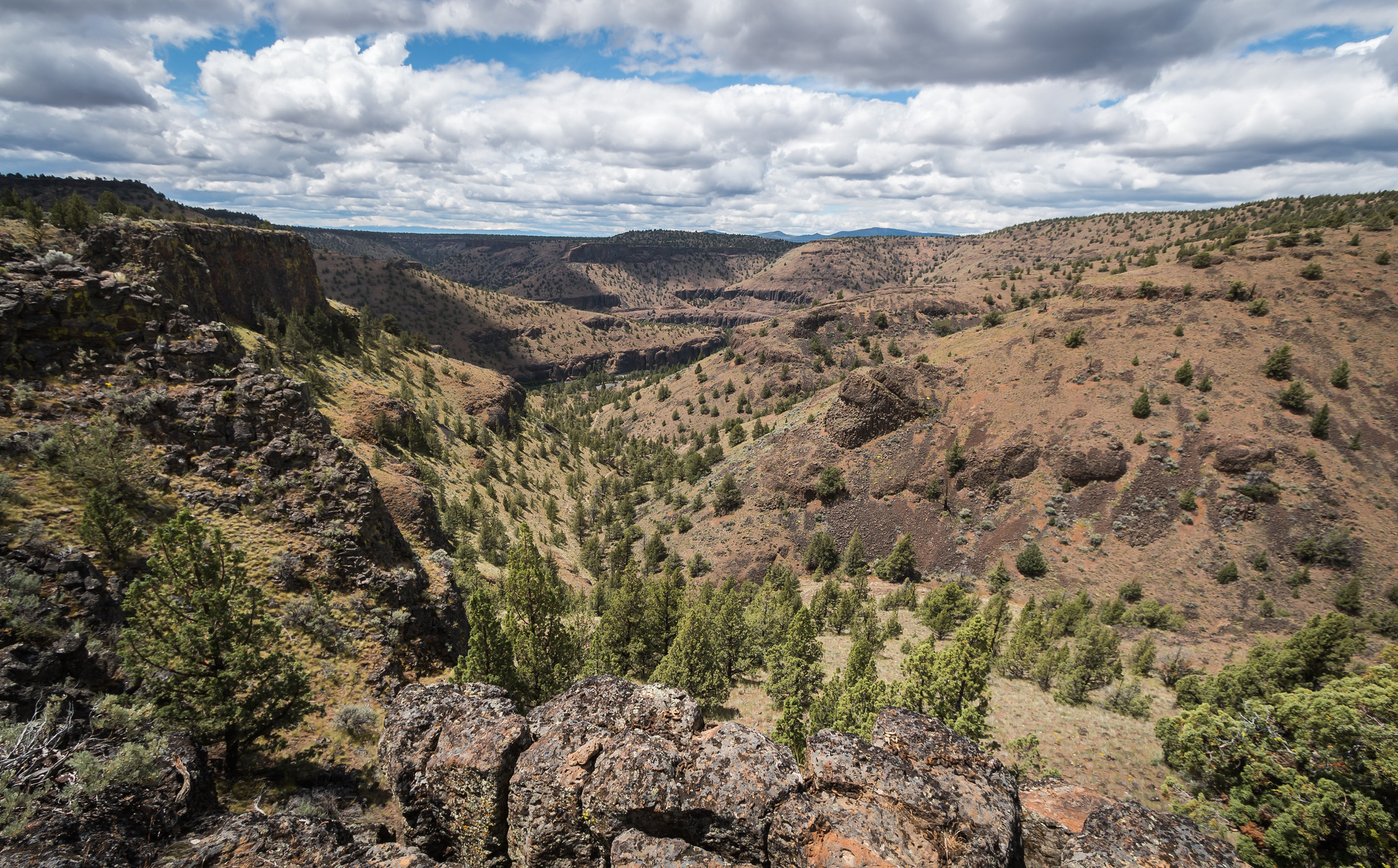 Chimney Rock Trail photo 3