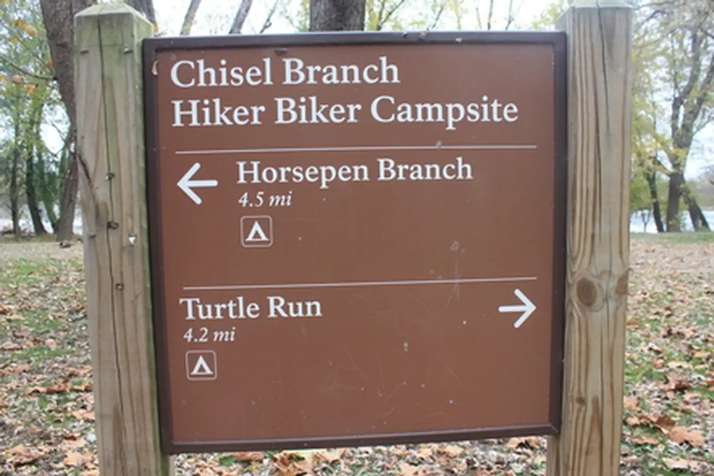 Chisel Branch Hiker-Biker Overnight (HBO) Campsite photo 2