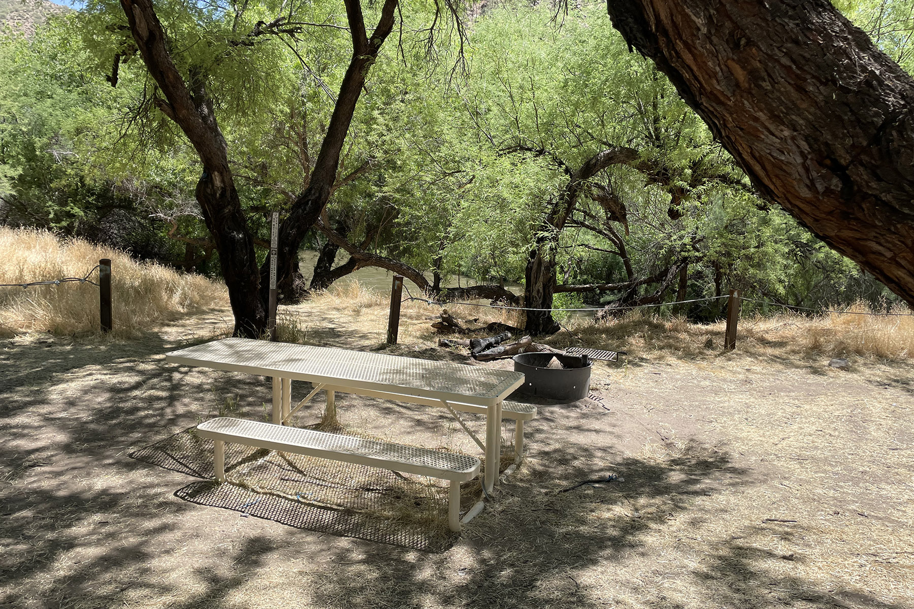 Christmas Recreation Site photo