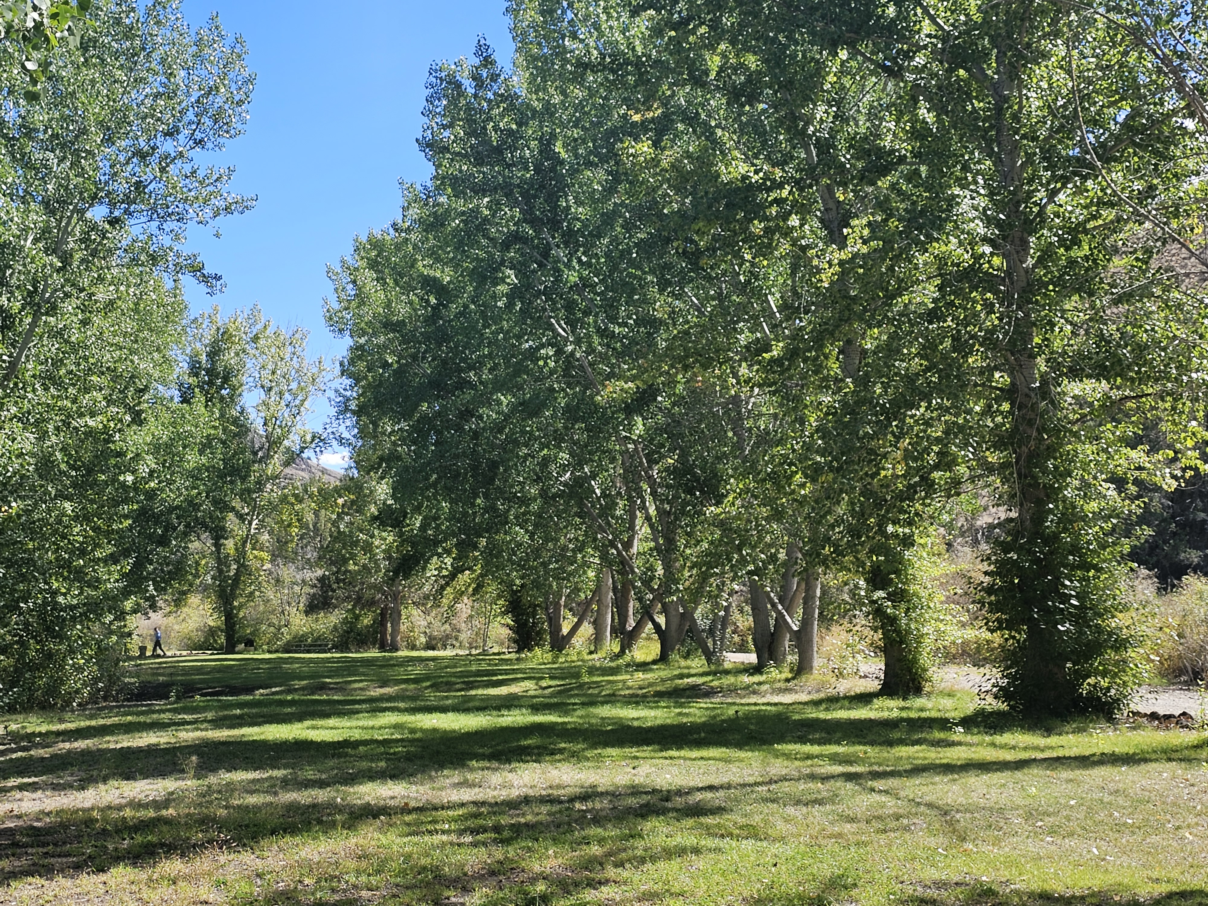 Chukar Park Campground photo