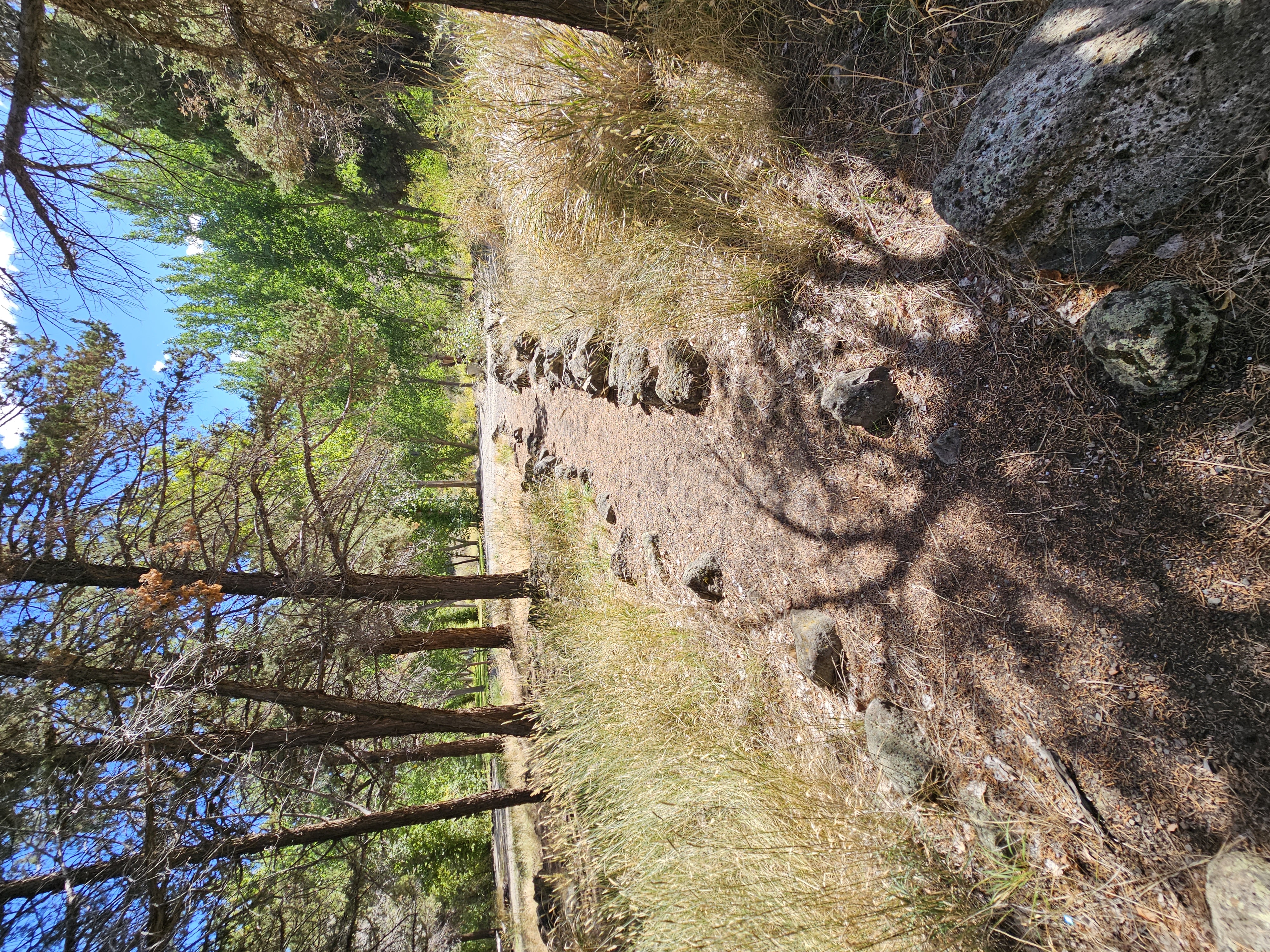 Chukar Park Campground photo 2