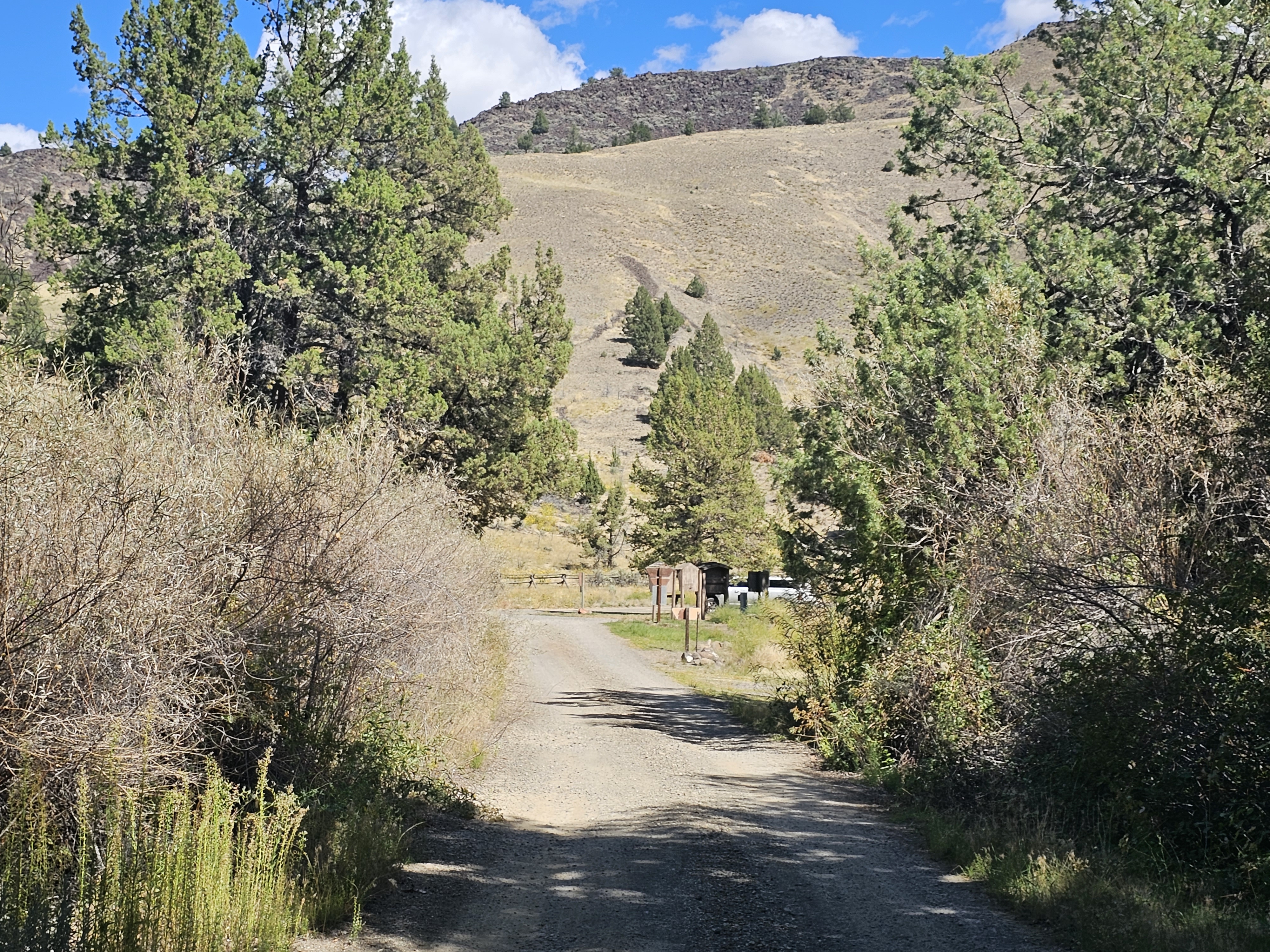 Chukar Park Campground photo 4